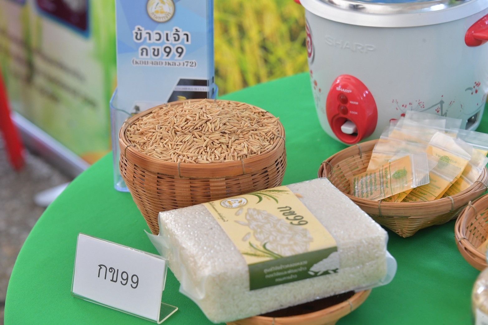 กรมชลฯ kick off ส่งเสริมนาเปียกสลับแห้งสู่การขยายผลพื้นที่ชลประทานแปลงต้นแบบ “สุขเต็มนา RIo10@ทุ่งบางกุ่ม” 5 984145