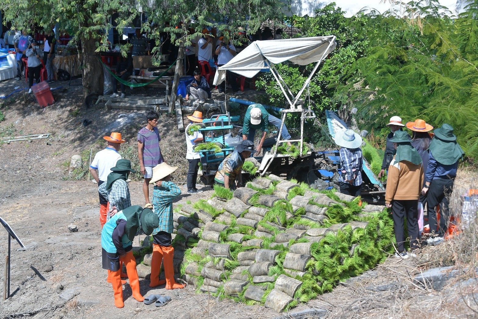 กรมชลฯ kick off ส่งเสริมนาเปียกสลับแห้งสู่การขยายผลพื้นที่ชลประทานแปลงต้นแบบ “สุขเต็มนา RIo10@ทุ่งบางกุ่ม” 6 984147