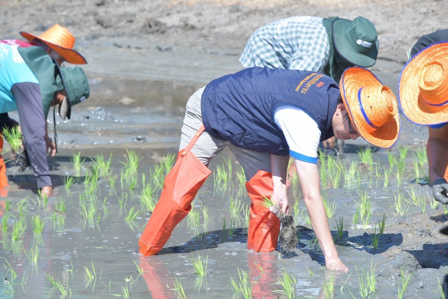 กรมชลฯ kick off ส่งเสริมนาเปียกสลับแห้งสู่การขยายผลพื้นที่ชลประทานแปลงต้นแบบ “สุขเต็มนา RIo10@ทุ่งบางกุ่ม” 9 984153