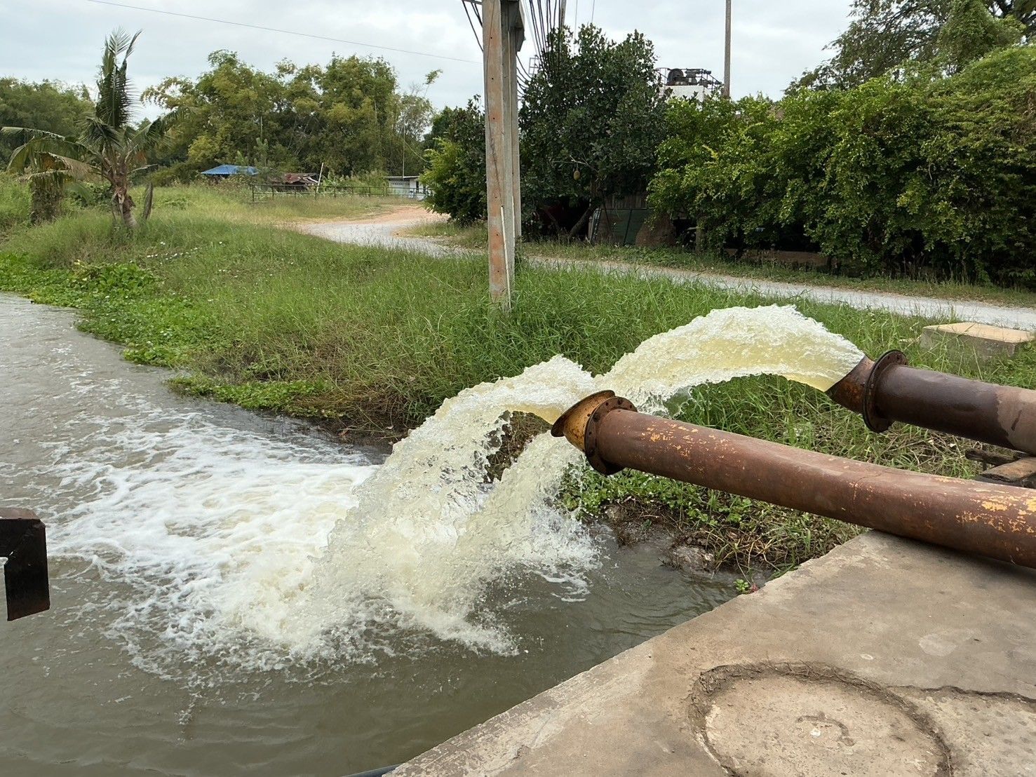 ทำไม่พัก ชป.เดินหน้าต่อเนื่อง ลุยกำจัดผักตบ–ติดตั้งเครื่องสูบน้ำ 4 984810