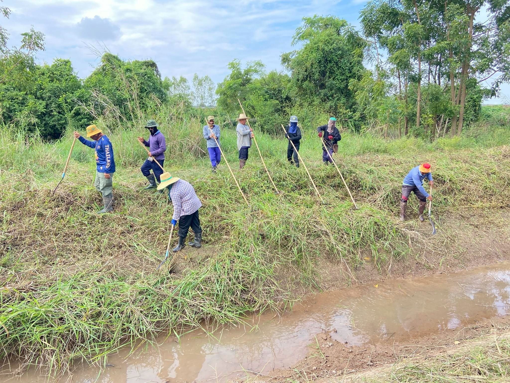 ทำไม่พัก ชป.เดินหน้าต่อเนื่อง ลุยกำจัดผักตบ–ติดตั้งเครื่องสูบน้ำ 7 984813