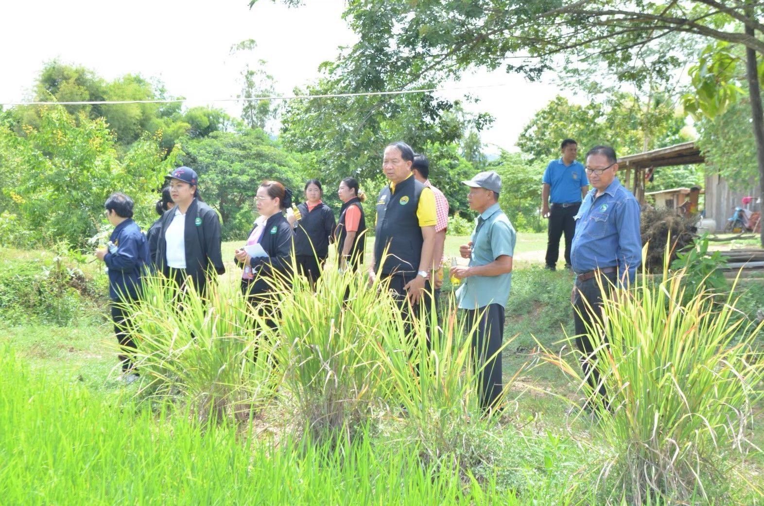 กรมส่งเสริมสหกรณ์เดินหน้าสนองนโยบายรัฐบาลส่งเสริมอาชีพสร้างรายได้ให้เกษตรกรในพื้นที่”คทช.” 5 994296