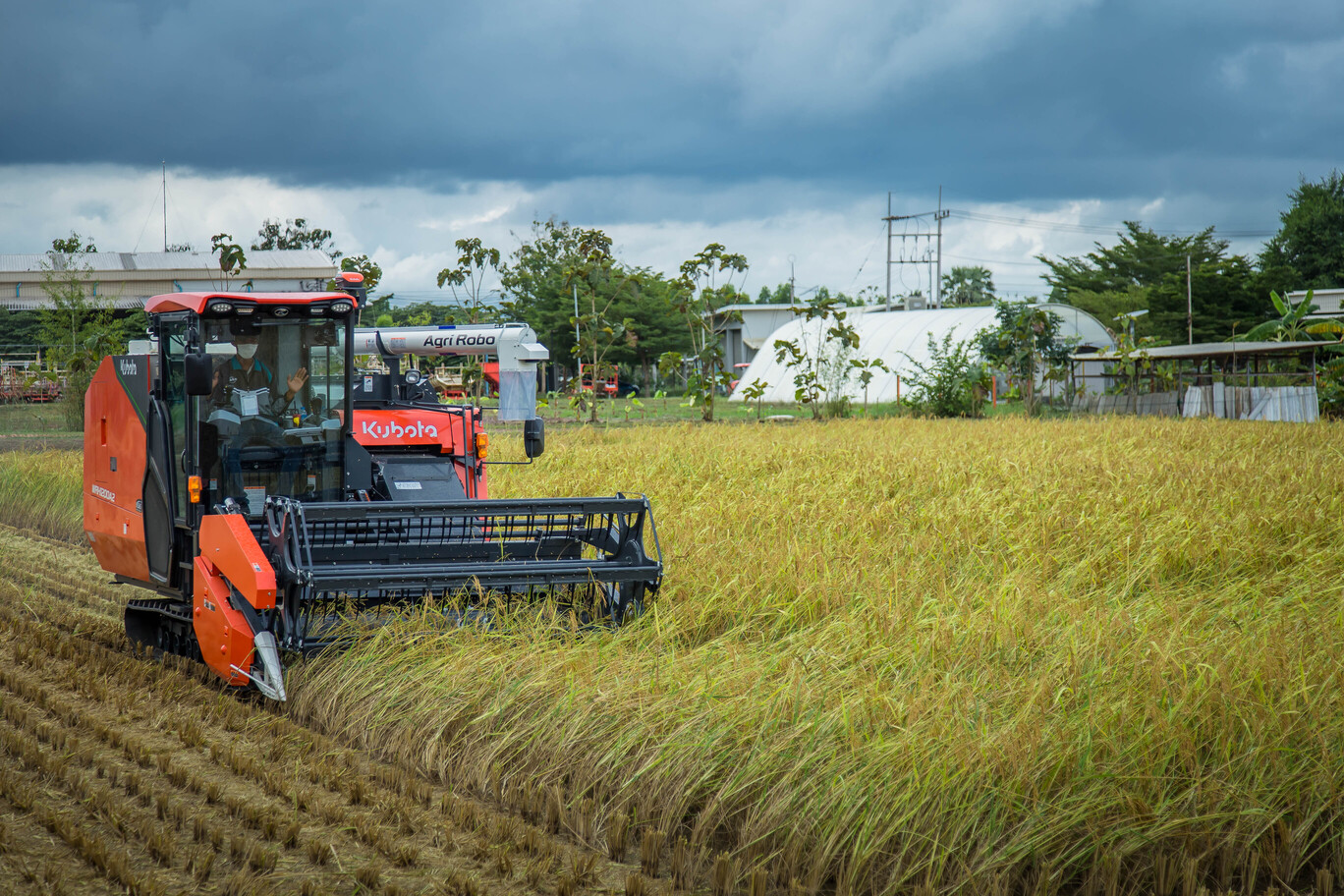 สยามคูโบต้า เดินเกมรุกตอกย้ำเบอร์หนึ่งตลาดเครื่องจักรกลการเกษตร ชูแคมเปญ “แคร์อุ่นใจ 5 ปี” กลยุทธ์บริการหลังการขาย สู่บทบาท Trusted Partner เสริมความเชื่อมั่นเกษตรกร พร้อมเสริมไลน์อัปผลิตภัณฑ์ หนุนตลาดสมาร์ทฟาร์มมิ่งเติบโต 4 Agri Robo Combine Harvestor รถเกี่ยวนวดข้าว1