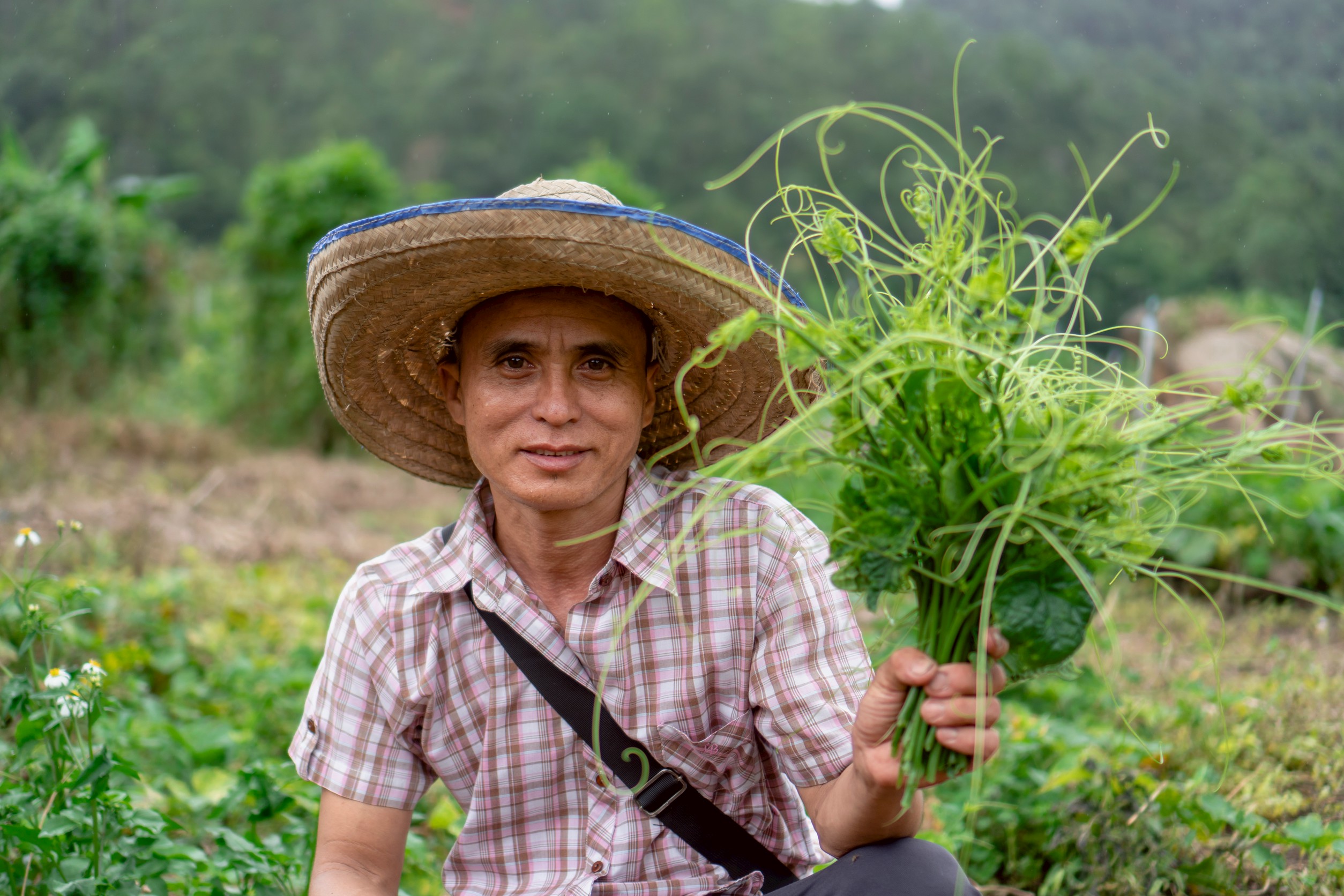 กรมส่งเสริมการเกษตรดึงแนวคิด IDG พัฒนาคนจากภายใน ขับเคลื่อนงานเชิงพื้นที่อย่างยั่งยืน ชู BaanPamBok Pai 1461