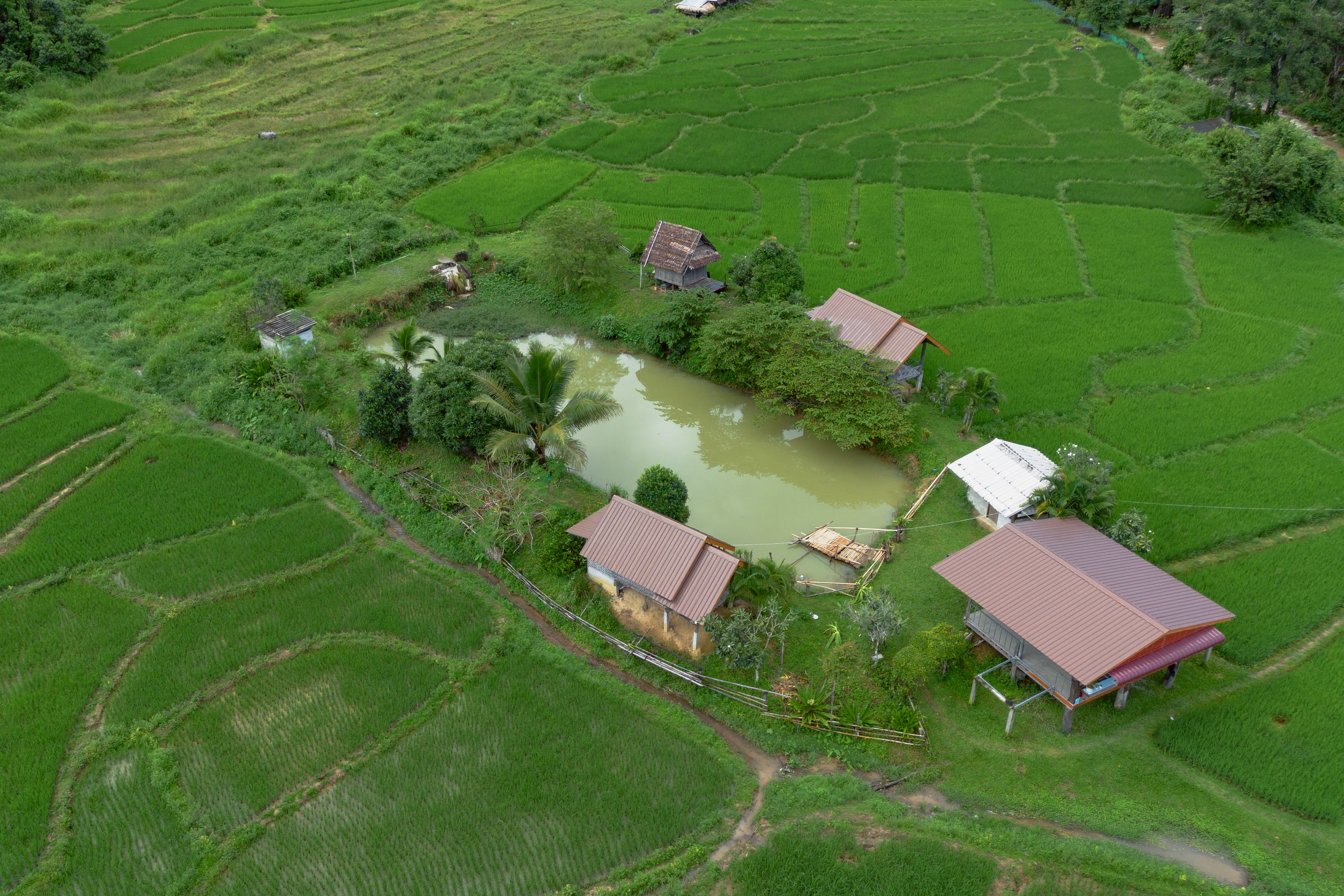 กรมส่งเสริมการเกษตรดึงแนวคิด IDG พัฒนาคนจากภายใน ขับเคลื่อนงานเชิงพื้นที่อย่างยั่งยืน ชู BaanPamBok Pai 209 3