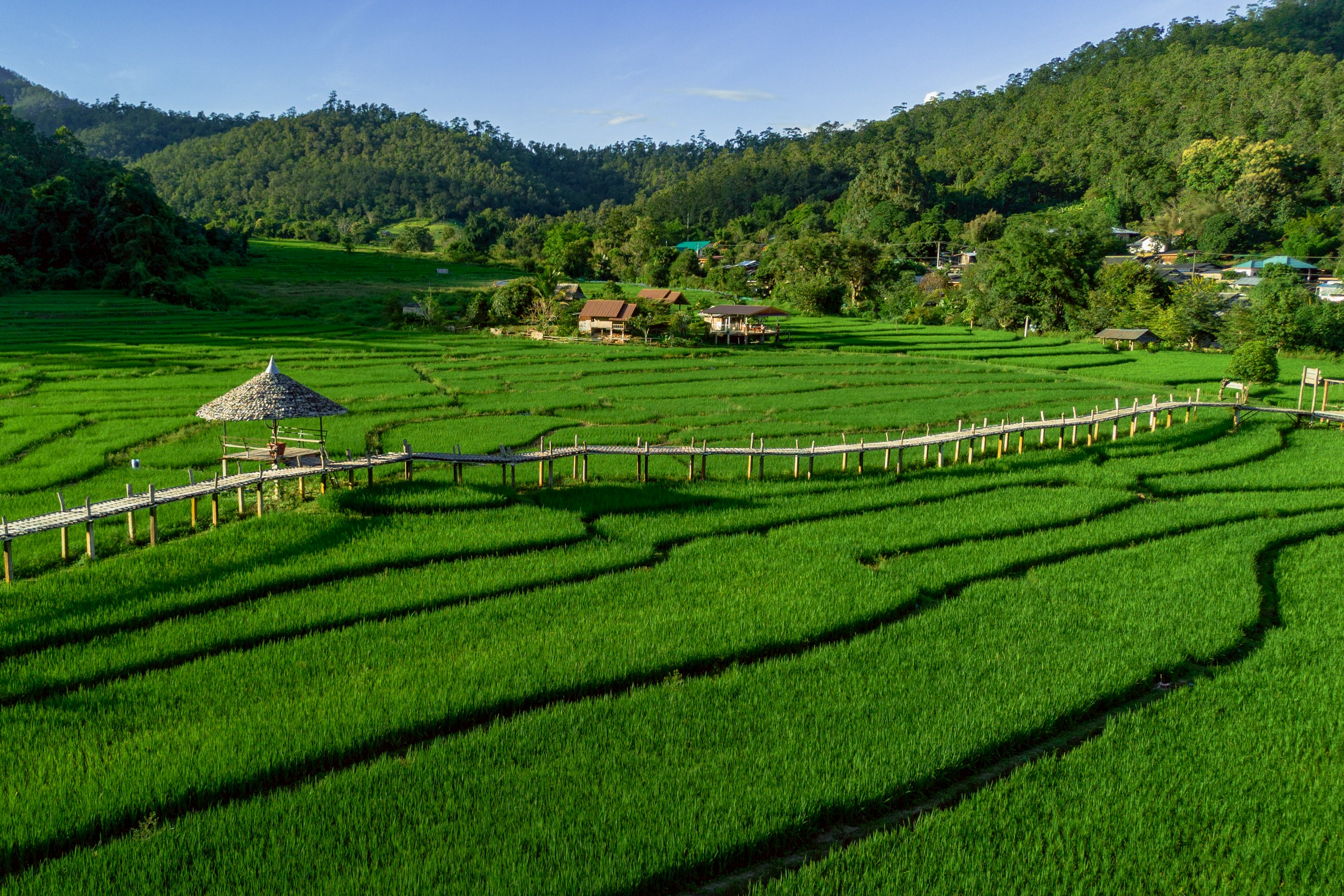 กรมส่งเสริมการเกษตรดึงแนวคิด IDG พัฒนาคนจากภายใน ขับเคลื่อนงานเชิงพื้นที่อย่างยั่งยืน ชู BaanPamBok Pai 268 2