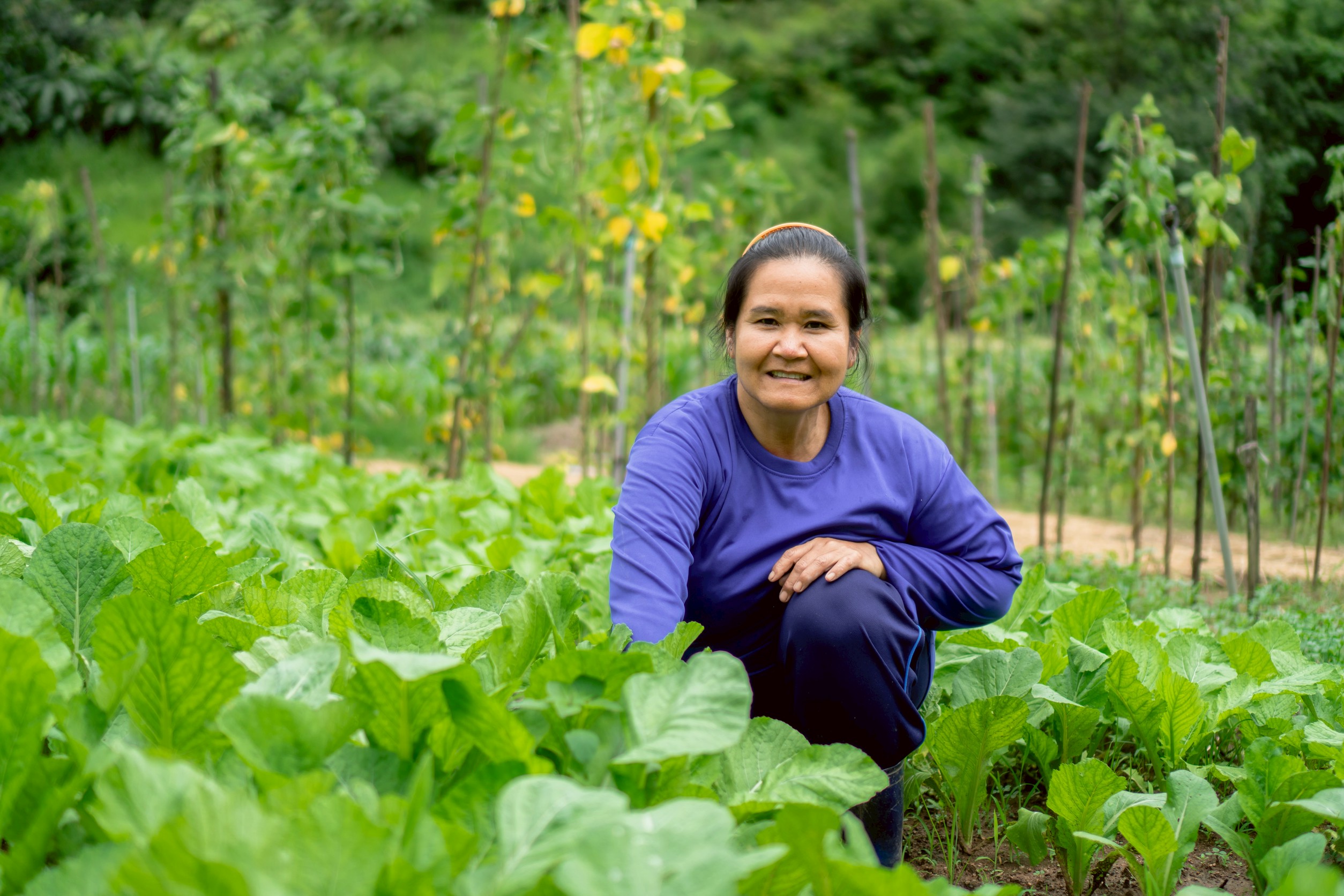 กรมส่งเสริมการเกษตรดึงแนวคิด IDG พัฒนาคนจากภายใน ขับเคลื่อนงานเชิงพื้นที่อย่างยั่งยืน ชู BaanPamBok Pai 611