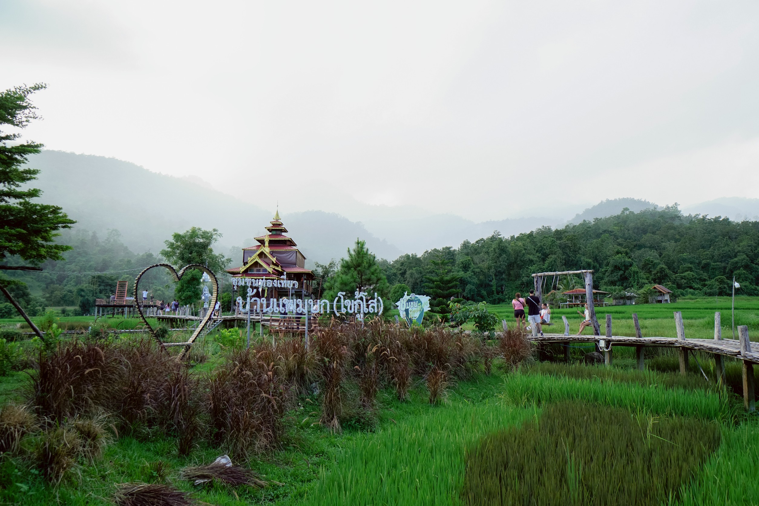 กรมส่งเสริมการเกษตรดึงแนวคิด IDG พัฒนาคนจากภายใน ขับเคลื่อนงานเชิงพื้นที่อย่างยั่งยืน ชู BaanPamBok Pai 991