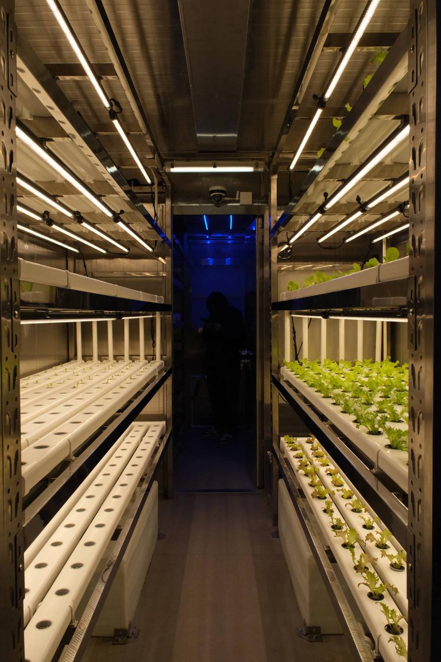 จีนเปิดตัว 'ฟาร์มอัจฉริยะบนเรือ' เอื้อปลูก 'ผักสด' กินกลางทะเล 2 CbkthzH000002 20251207 CBMFN0A001