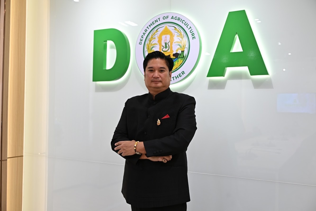 กรมวิชาการเกษตร แจ้งเกิด ชาพันธุ์ใหม่ “กวก.เชียงใหม่ 1” ผลผลิตสูง ใบบาง กลิ่นหอม รสชาติกลมกล่อม 2 IMG 7540