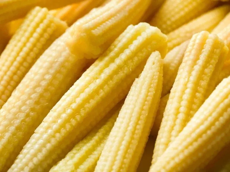 Image03 60 1.jpgงงงง