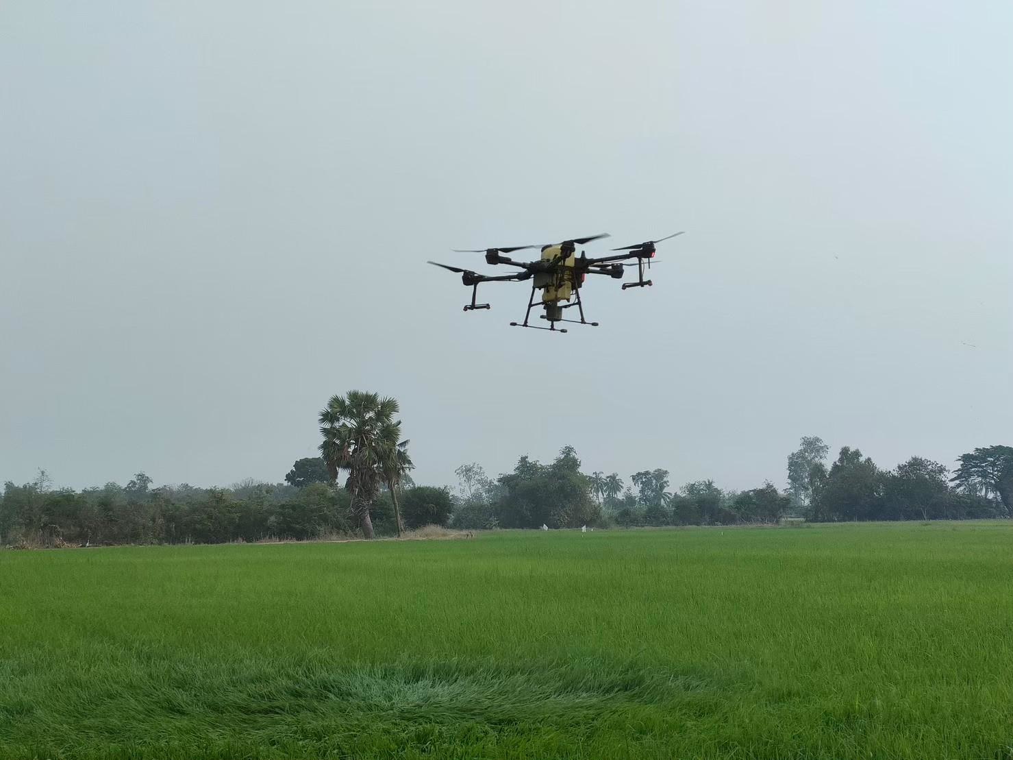 ศูนย์เรียนรู้ลดโลกร้อนแห่งแรกและแห่งเดียวในไทยแปลงใหญ่เกษตรสมัยใหม่ (ข้าว) ตำบลเดิมบาง อำเภอเดิมบางนางบวช จังหวัดสุพรรณบุรี 5 LINE ALBUM Focus Group แปลงใหญ่เดิมบาง 251204 15 0 1