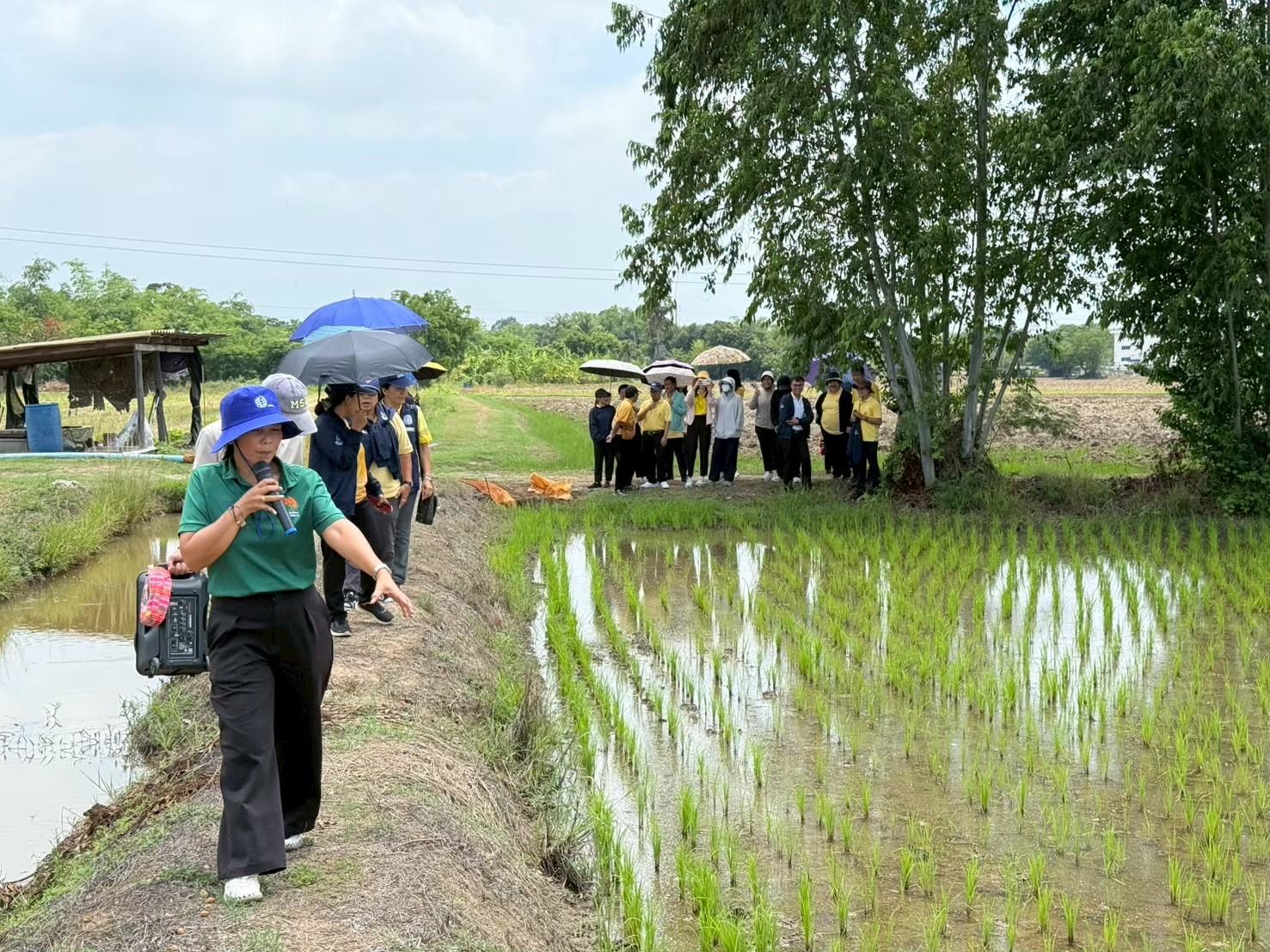 สศท.7 ชู ‘แปลงใหญ่เกษตรสมัยใหม่ (ข้าว)’ จ.สุพรรณบุรี ต้นแบบนาข้าวรักษ์โลก เป็นมิตรต่อสิ่งแวดล้อม 3 LINE ALBUM Focus Group แปลงใหญ่เดิมบาง 251204 41 0