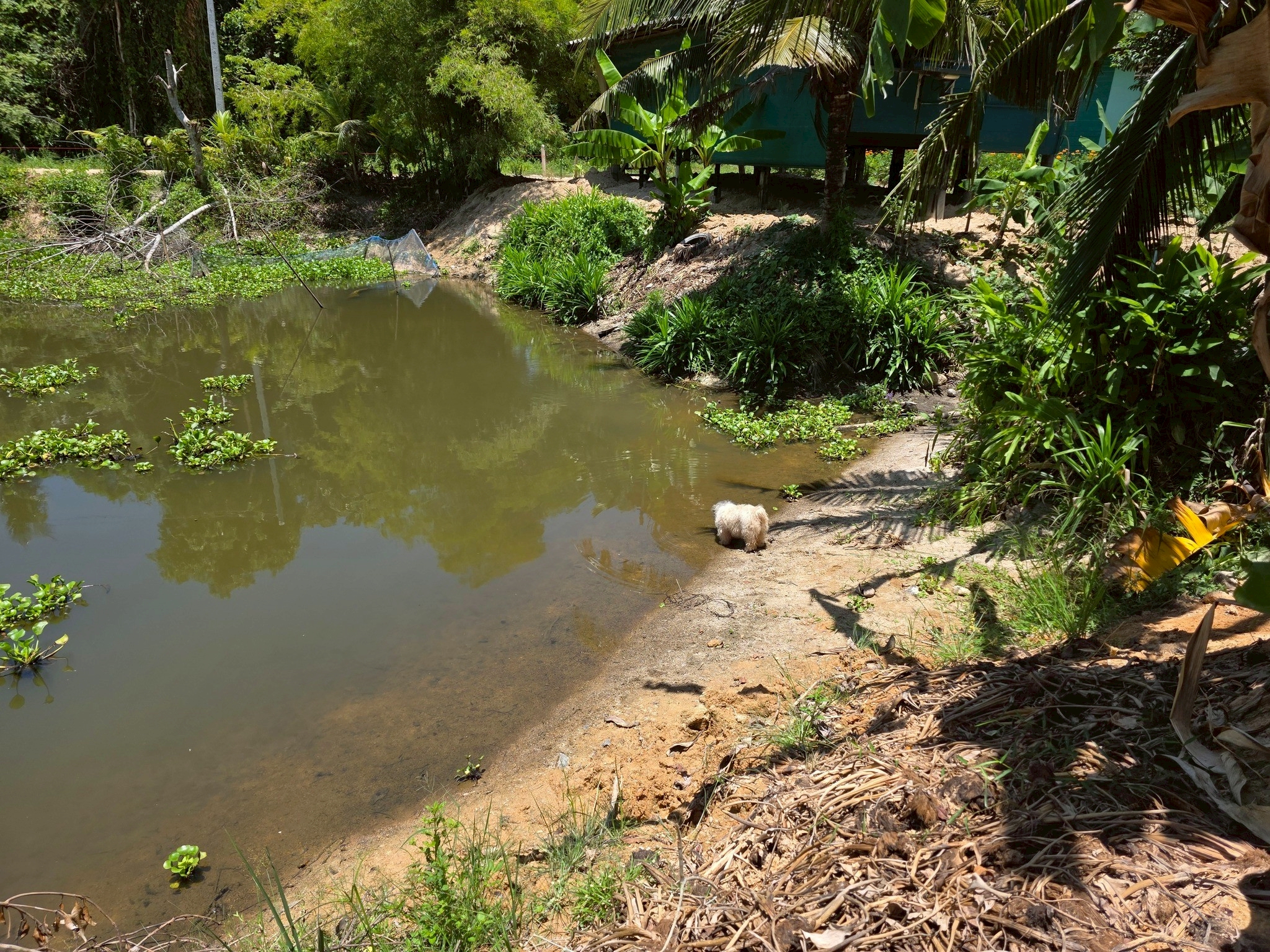 สศก. ชูโมเดล “ไร่เตียวิเศษ” เกาะพะงัน ธุรกิจเกษตรอินทรีย์แบบ Demand-led ใช้ Zero Waste ยกระดับผลิตภาพ ลดต้นทุน 36% สร้างรายได้ 1.28 ล้านบาท/ปีเสริมเสถียรภาพการเงินด้วยรายได้หลายทาง 14 LINE ALBUM เตียวิเศษ 251219 17 0