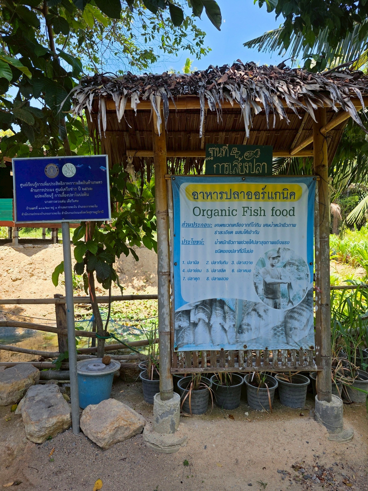 สศก. ชูโมเดล “ไร่เตียวิเศษ” เกาะพะงัน ธุรกิจเกษตรอินทรีย์แบบ Demand-led ใช้ Zero Waste ยกระดับผลิตภาพ ลดต้นทุน 36% สร้างรายได้ 1.28 ล้านบาท/ปีเสริมเสถียรภาพการเงินด้วยรายได้หลายทาง 5 LINE ALBUM เตียวิเศษ 251219 1 0