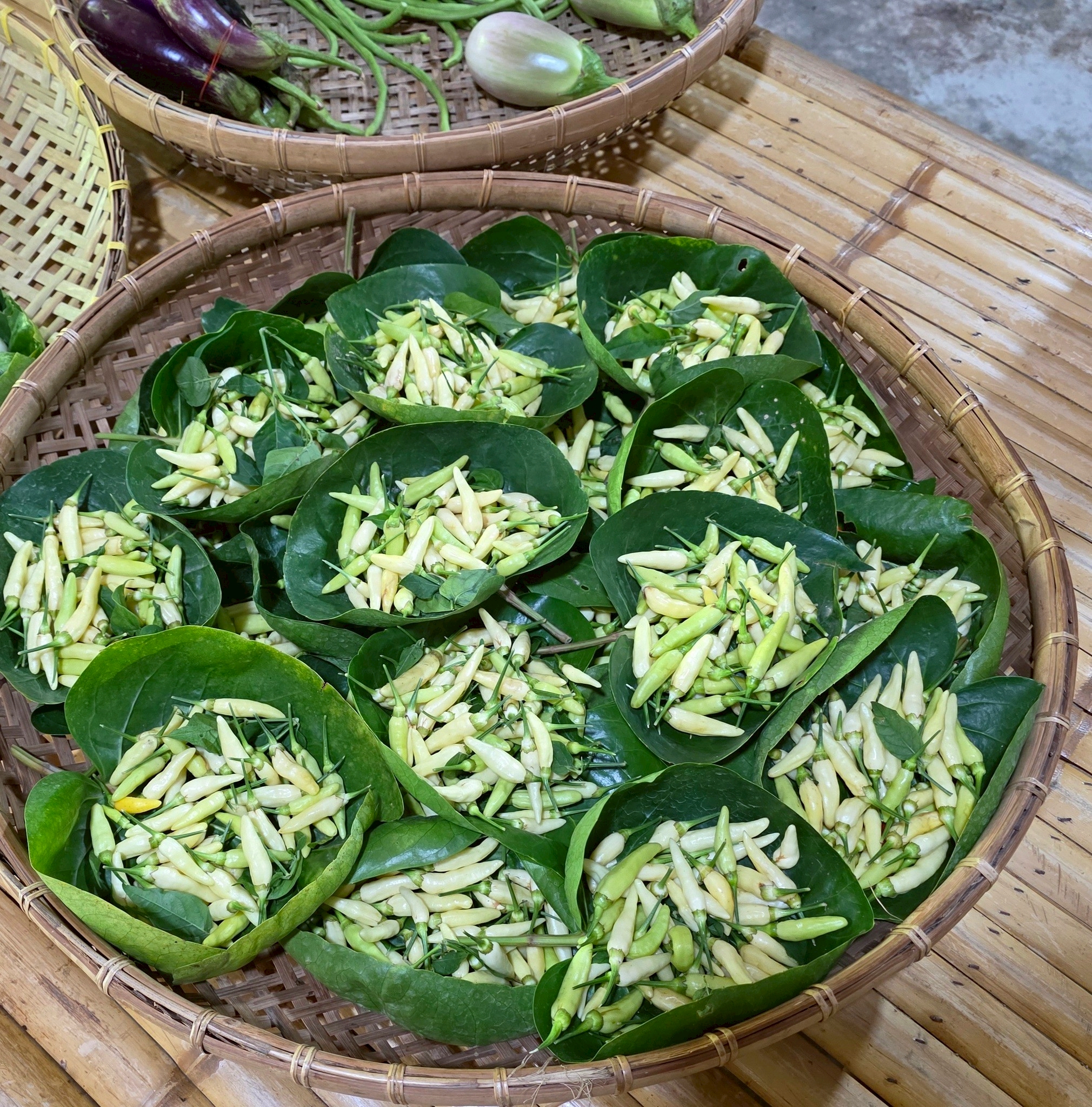 สศก. ชูโมเดล “ไร่เตียวิเศษ” เกาะพะงัน ธุรกิจเกษตรอินทรีย์แบบ Demand-led ใช้ Zero Waste ยกระดับผลิตภาพ ลดต้นทุน 36% สร้างรายได้ 1.28 ล้านบาท/ปีเสริมเสถียรภาพการเงินด้วยรายได้หลายทาง 9 LINE ALBUM เตียวิเศษ 251219 7 0