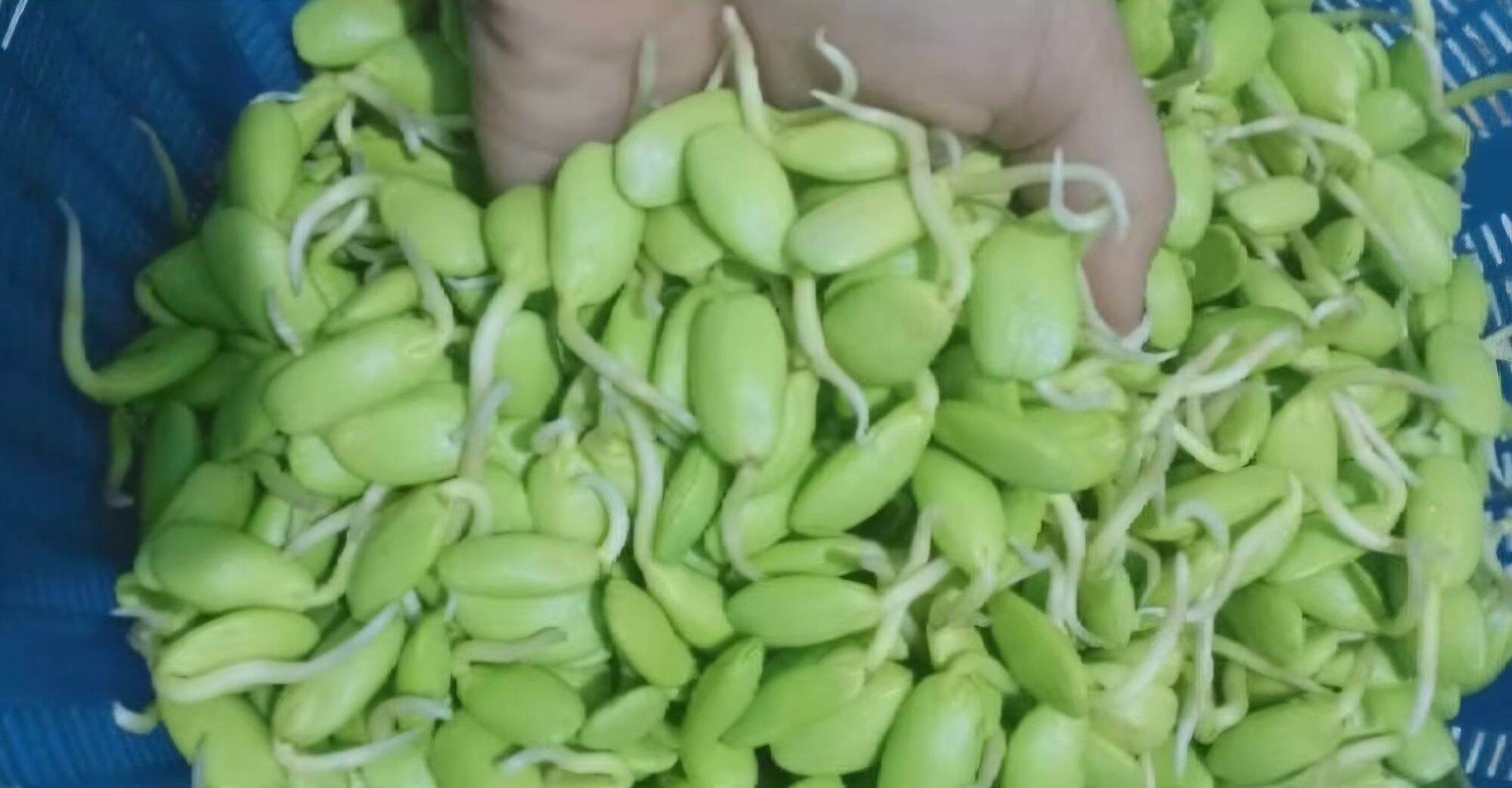 S037d7392657f4571a60ce873bbddd2f8M