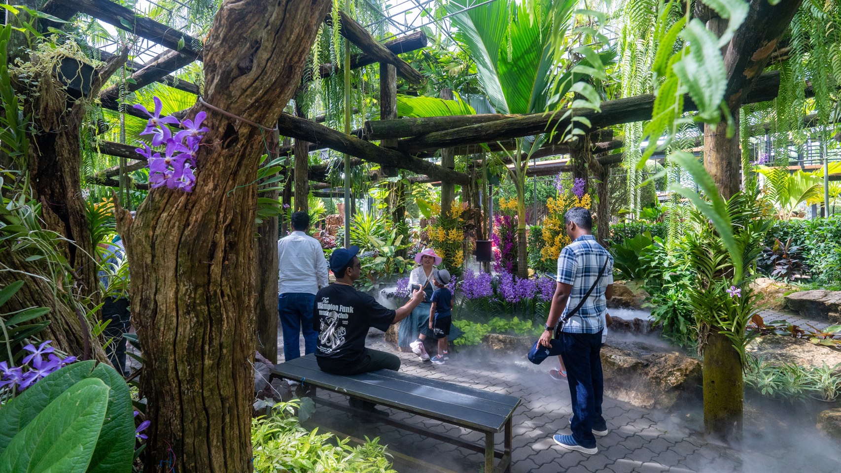 5 ธันวา “พาพ่อเที่ยว S 10233177