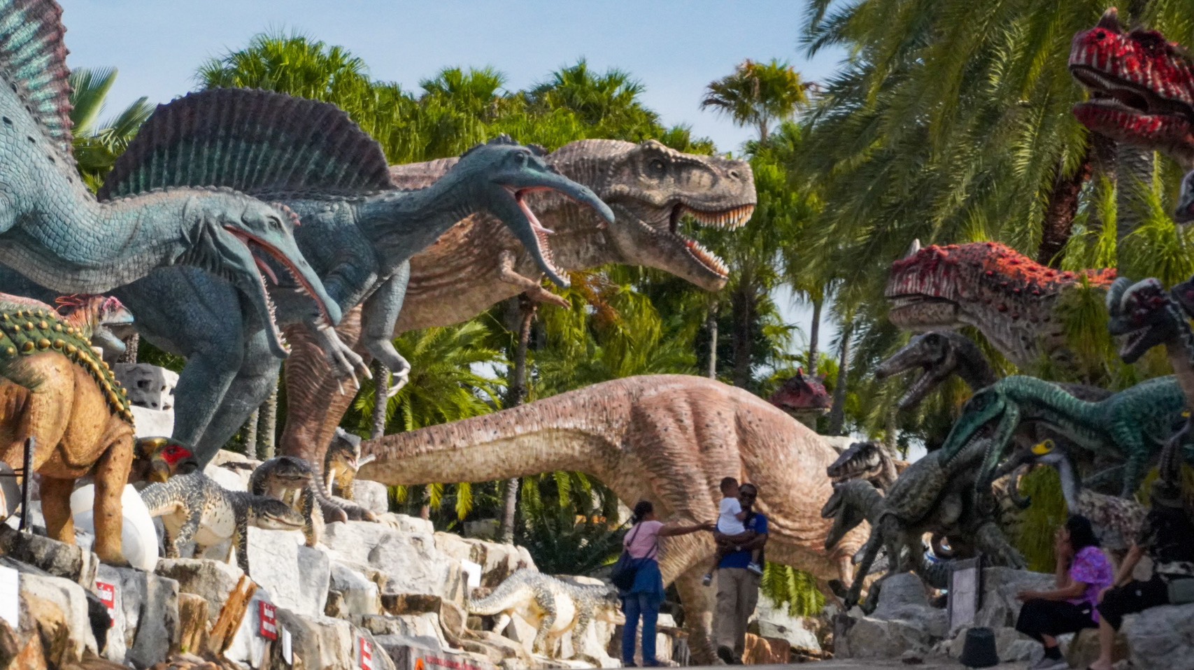 5 ธันวา “พาพ่อเที่ยว S 10233196