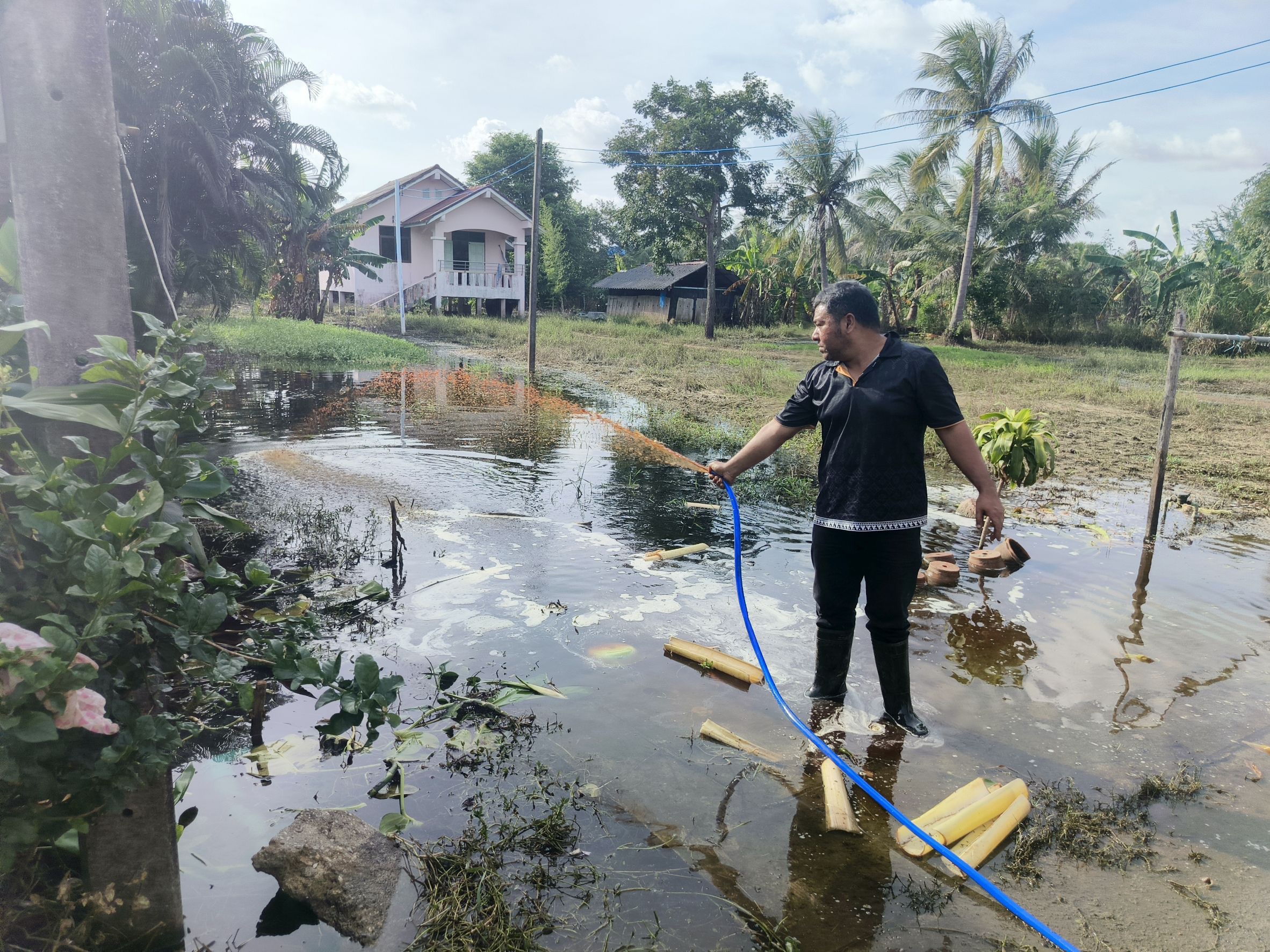 พด.ห่วงใยเกษตรกรทุกพื้นที่ เดินหน้าสนับสนุน “สารเร่งซุปเปอร์ พด.6”บำบัดน้ำเสีย–ฟื้นฟูดิน หลังสถานการณ์น้ำลดในภาคใต้ 11 S 107642918