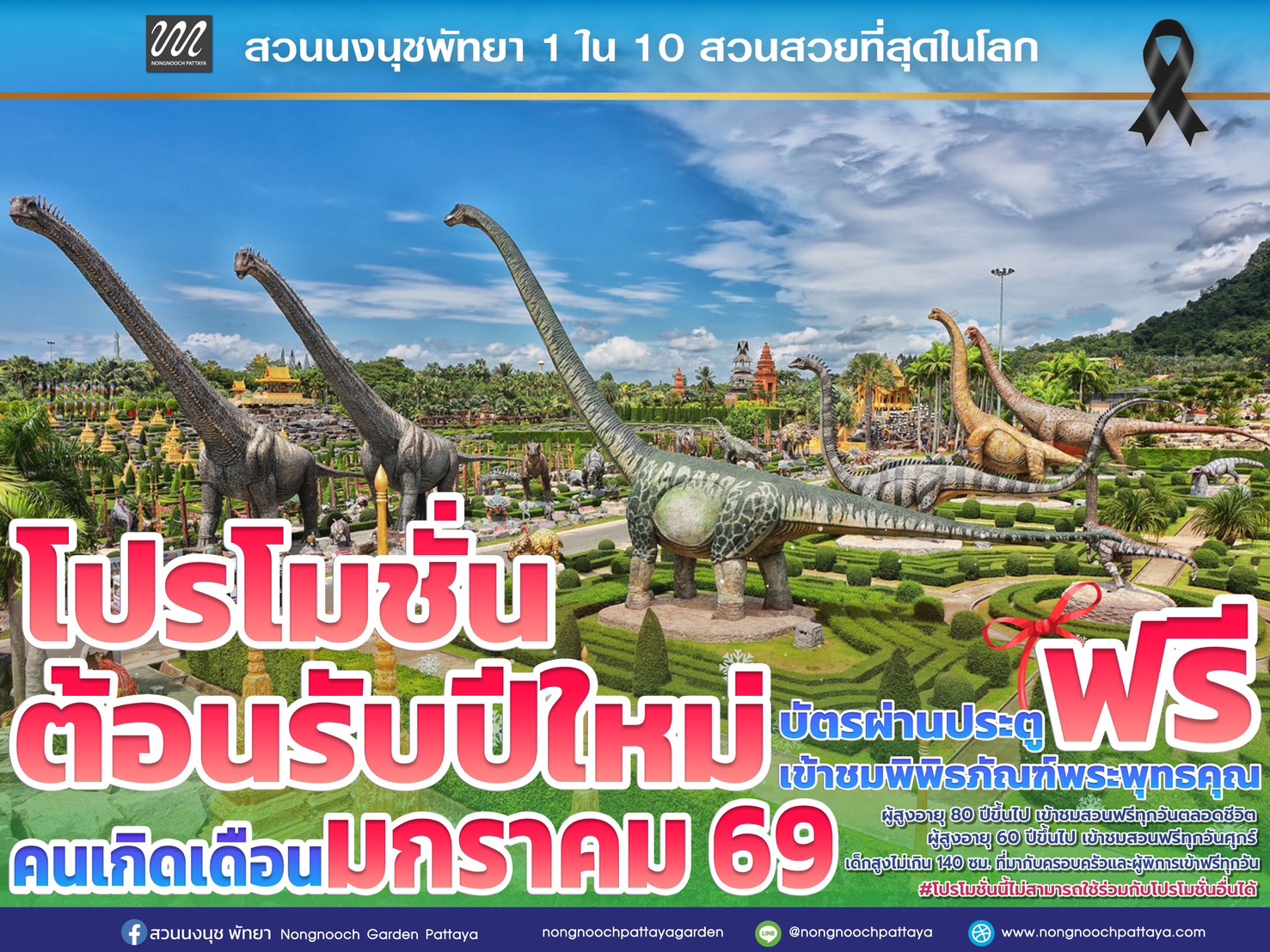 ส่งท้ายปีเก่าต้อนรับปีใหม่ 2569 สวนนงนุชพัทยามอบของขวัญสุดพิเศษ ชวนสัมผัสทะเลดอกไม้บานสะพรั่งทั่วทั้งสวน 11 S 11101504