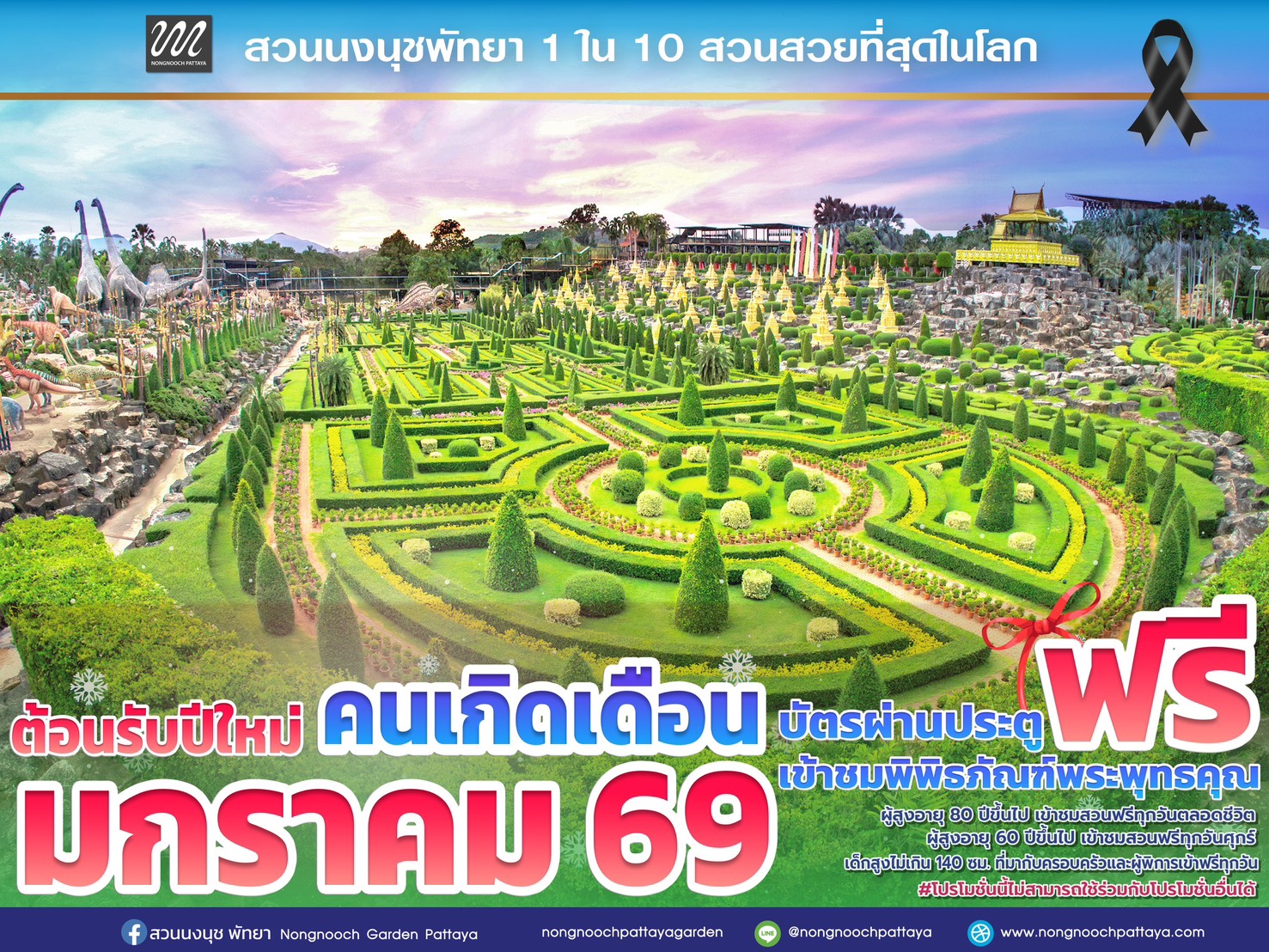 ส่งท้ายปีเก่าต้อนรับปีใหม่ 2569 สวนนงนุชพัทยามอบของขวัญสุดพิเศษ ชวนสัมผัสทะเลดอกไม้บานสะพรั่งทั่วทั้งสวน 10 S 11101522