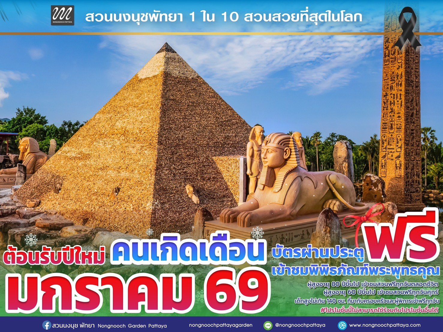ส่งท้ายปีเก่าต้อนรับปีใหม่ 2569 สวนนงนุชพัทยามอบของขวัญสุดพิเศษ ชวนสัมผัสทะเลดอกไม้บานสะพรั่งทั่วทั้งสวน 9 S 11101540