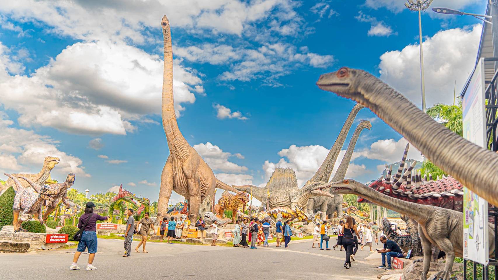 ส่งท้ายปีเก่าต้อนรับปีใหม่ 2569 สวนนงนุชพัทยามอบของขวัญสุดพิเศษ ชวนสัมผัสทะเลดอกไม้บานสะพรั่งทั่วทั้งสวน 5 S 11101588