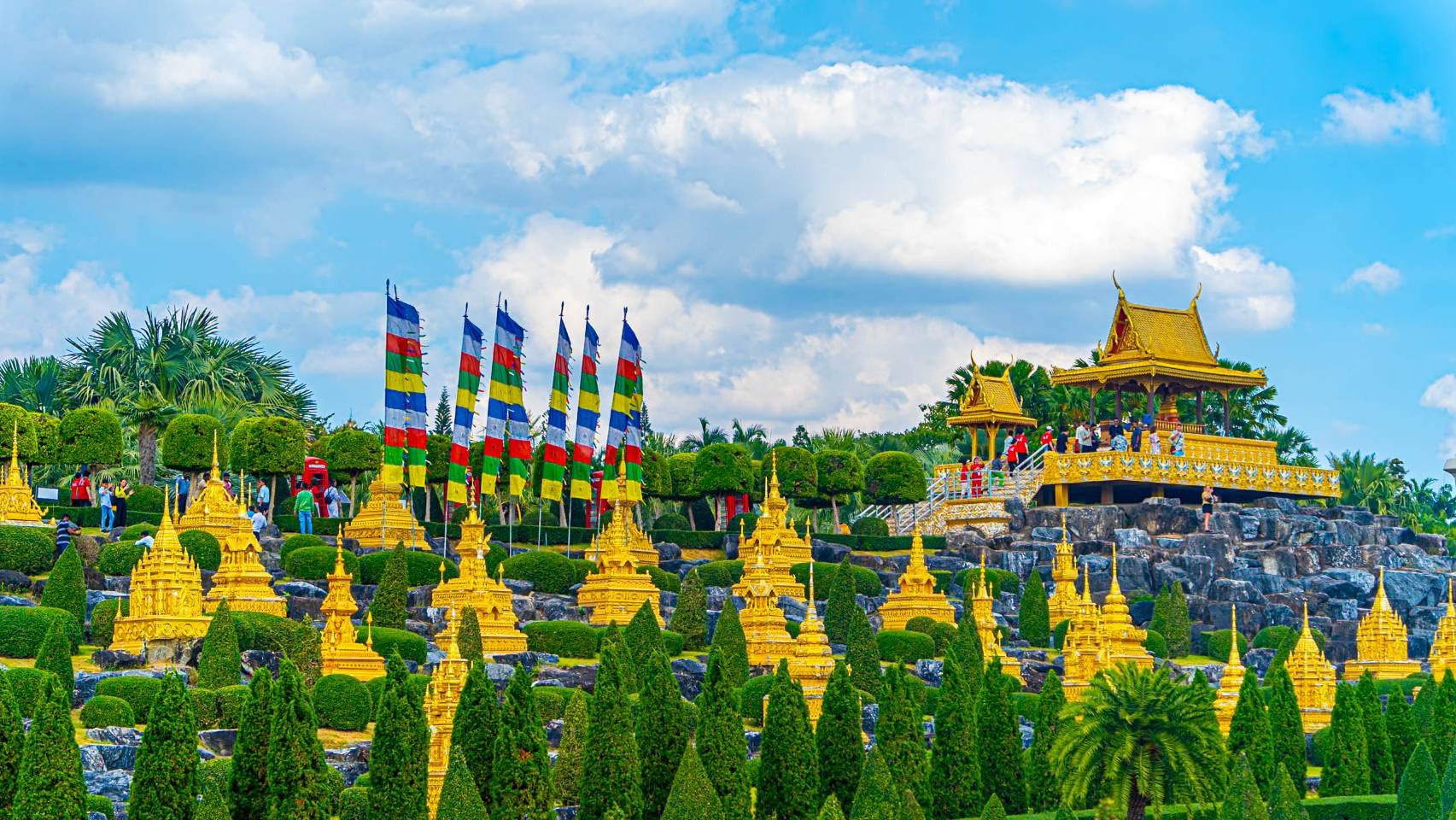 ส่งท้ายปีเก่าต้อนรับปีใหม่ 2569 สวนนงนุชพัทยามอบของขวัญสุดพิเศษ ชวนสัมผัสทะเลดอกไม้บานสะพรั่งทั่วทั้งสวน 6 S 11101612