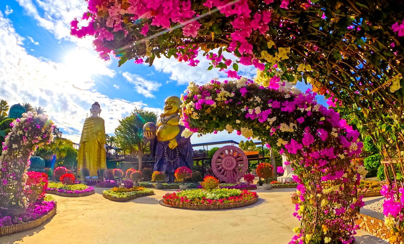 ส่งท้ายปีเก่าต้อนรับปีใหม่ 2569 สวนนงนุชพัทยามอบของขวัญสุดพิเศษ ชวนสัมผัสทะเลดอกไม้บานสะพรั่งทั่วทั้งสวน 8 S 11101640