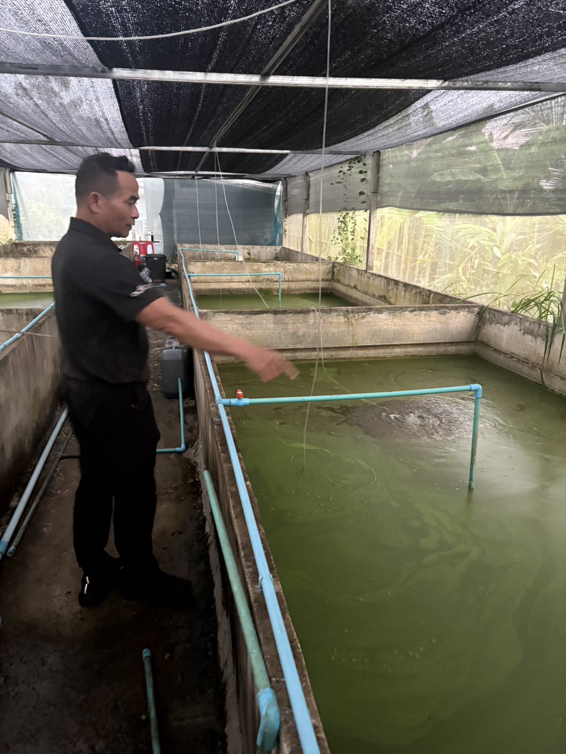 ต้นแบบความสำเร็จ S 148758532 0 0