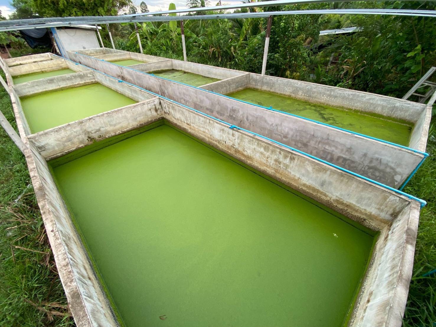 ต้นแบบความสำเร็จ S 148758539 0 0