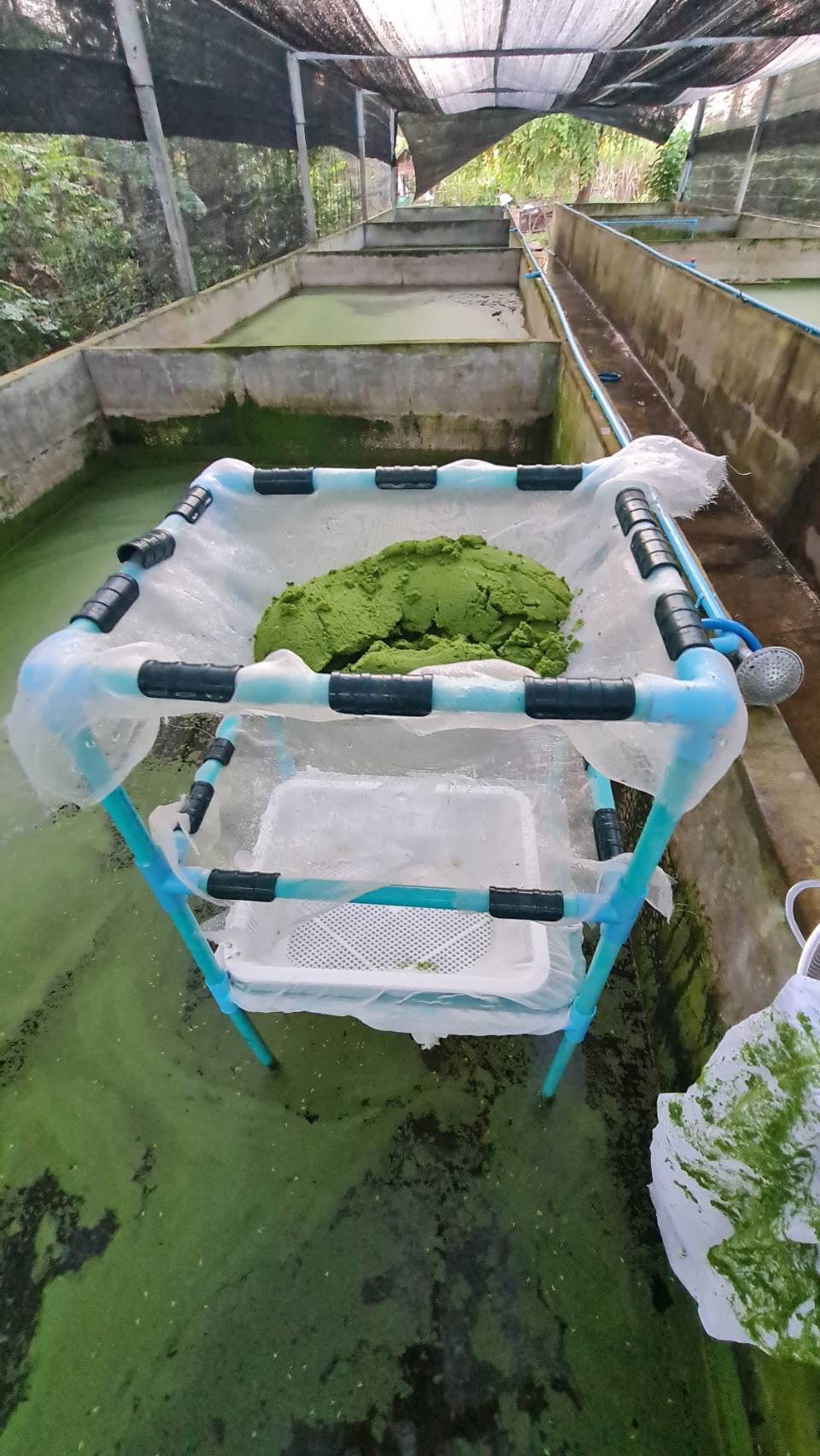 ต้นแบบความสำเร็จ S 148758541 0 0