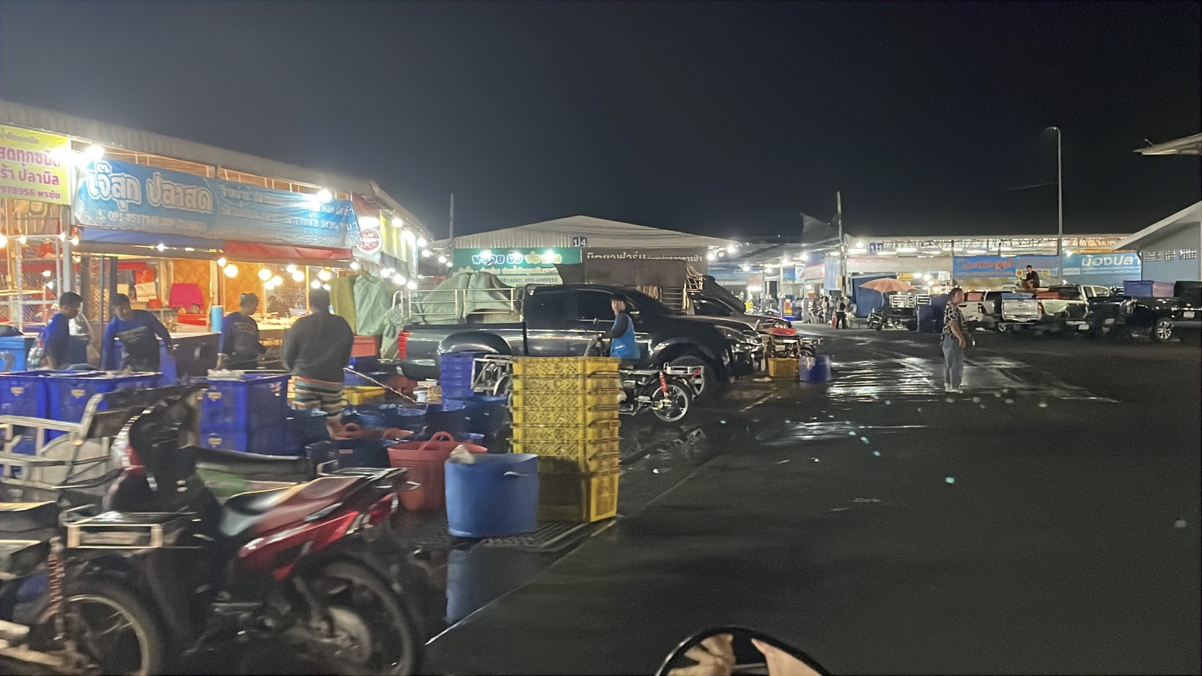 ความต้องการปลาน้ำจืดไทย พุ่ง 30-40% หลังสู้รบ/ด่านชายแดนไทย-กัมพูชา ปิด 2 S 176513213