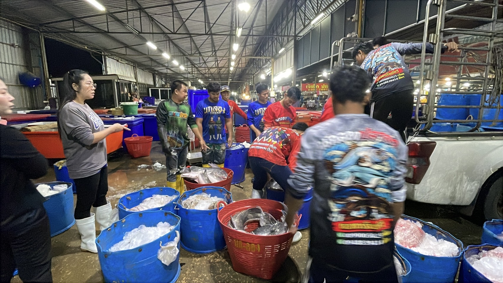 ความต้องการปลาน้ำจืดไทย พุ่ง 30-40% หลังสู้รบ/ด่านชายแดนไทย-กัมพูชา ปิด 10 S 176513222