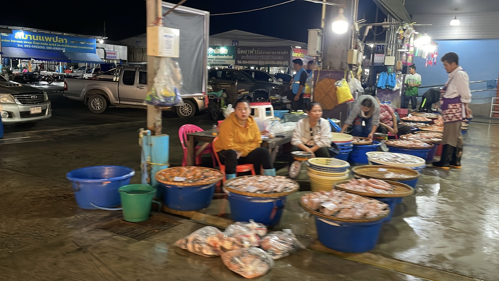 ความต้องการปลาน้ำจืดไทย พุ่ง 30-40% หลังสู้รบ/ด่านชายแดนไทย-กัมพูชา ปิด 11 S 176513225