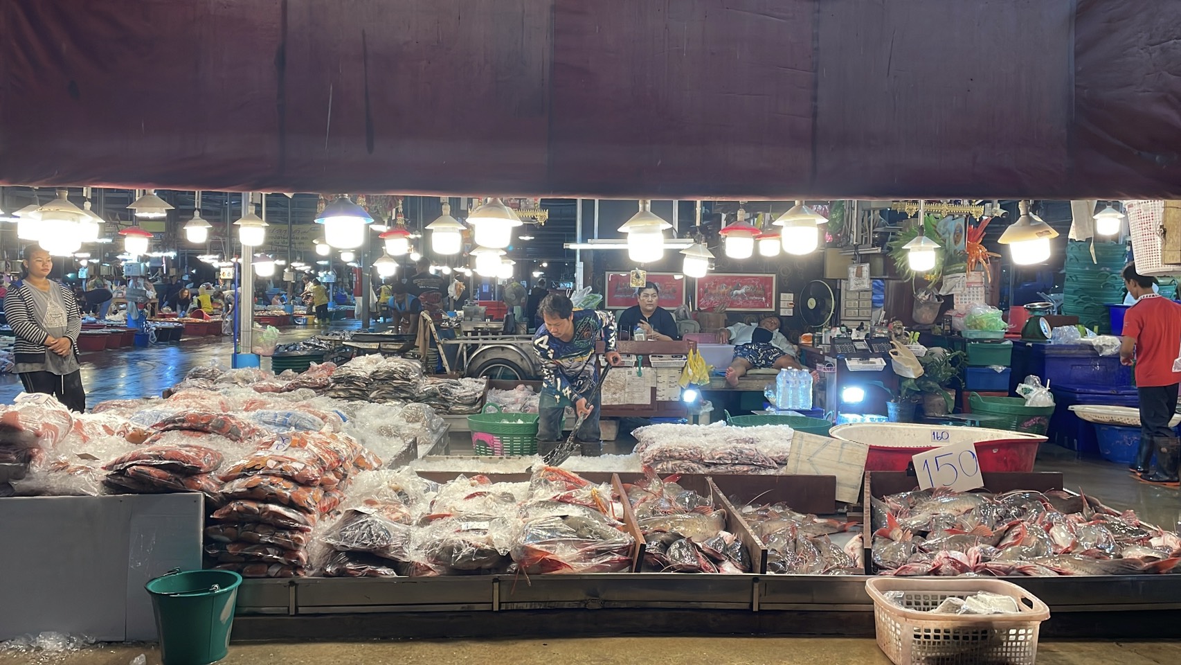 ความต้องการปลาน้ำจืดไทย พุ่ง 30-40% หลังสู้รบ/ด่านชายแดนไทย-กัมพูชา ปิด 12 S 176513226