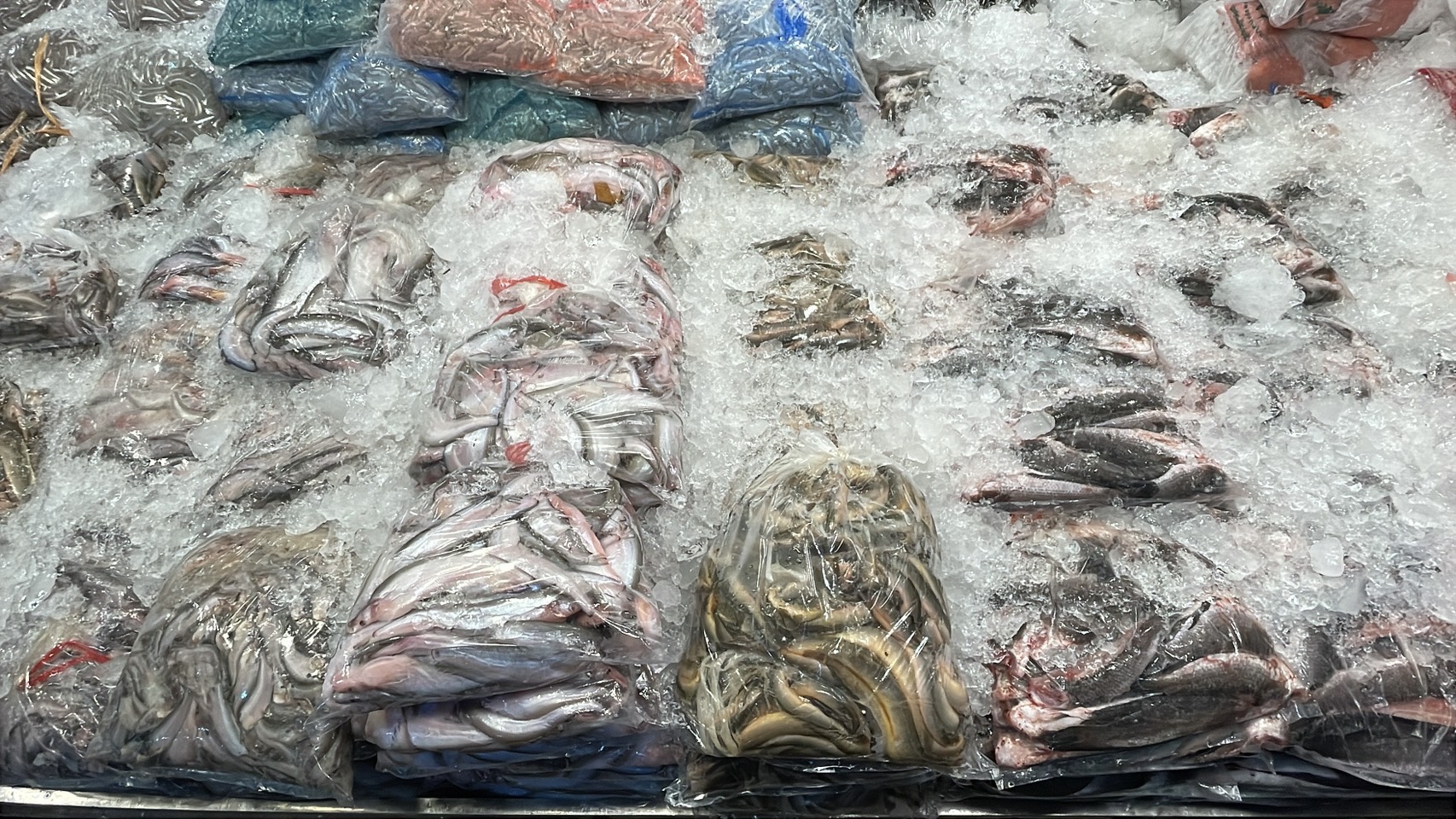 ความต้องการปลาน้ำจืดไทย พุ่ง 30-40% หลังสู้รบ/ด่านชายแดนไทย-กัมพูชา ปิด 13 S 176513227