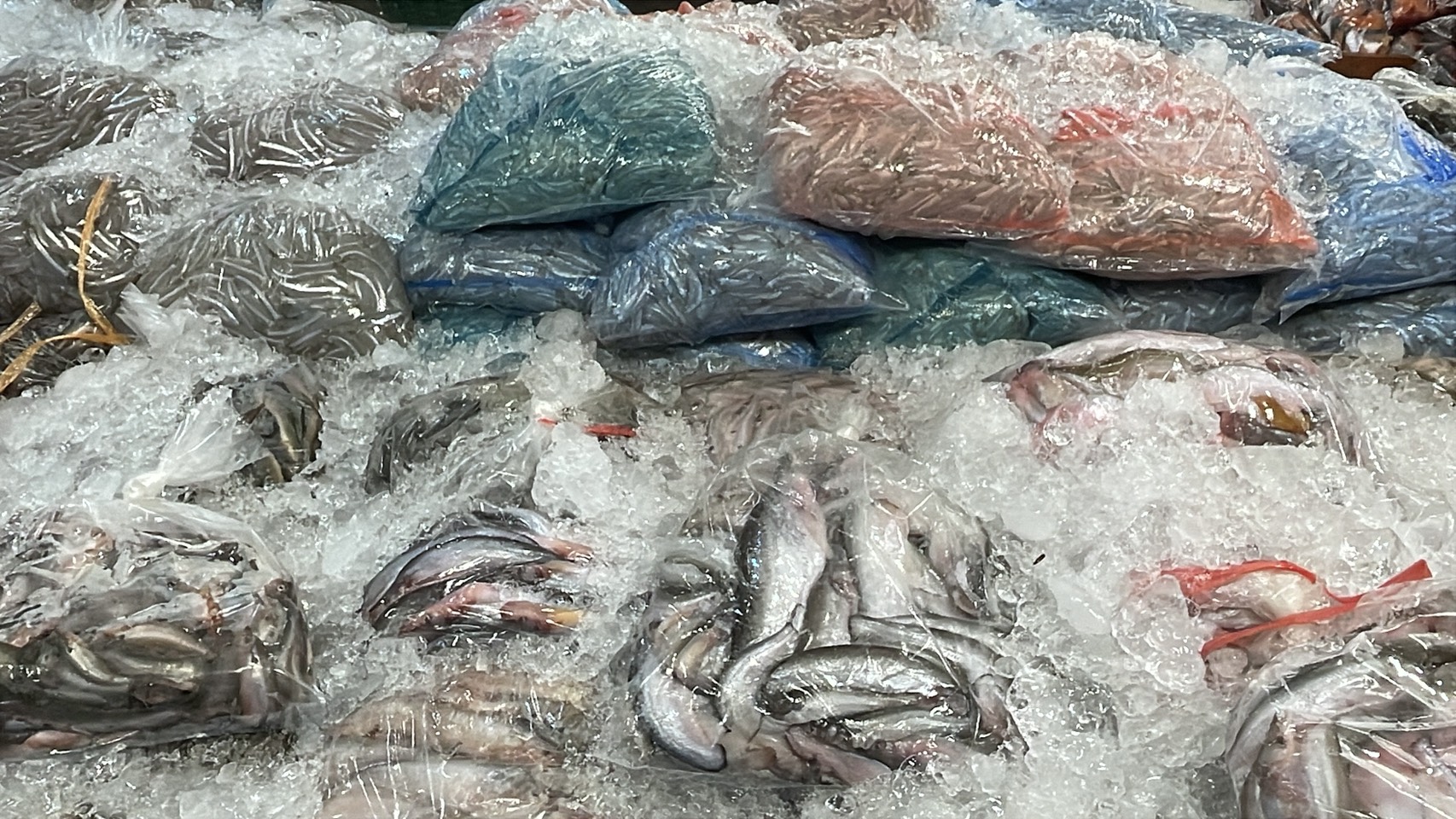 ความต้องการปลาน้ำจืดไทย พุ่ง 30-40% หลังสู้รบ/ด่านชายแดนไทย-กัมพูชา ปิด 15 S 176513229