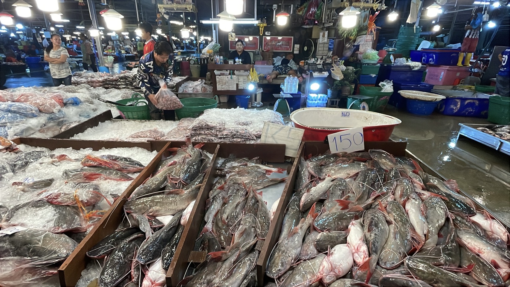 ความต้องการปลาน้ำจืดไทย พุ่ง 30-40% หลังสู้รบ/ด่านชายแดนไทย-กัมพูชา ปิด 16 S 176513230