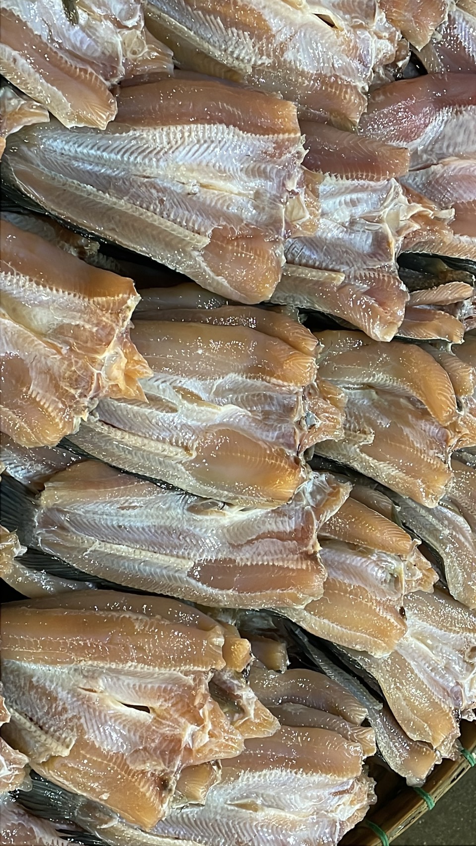 ความต้องการปลาน้ำจืดไทย พุ่ง 30-40% หลังสู้รบ/ด่านชายแดนไทย-กัมพูชา ปิด 20 S 176513235