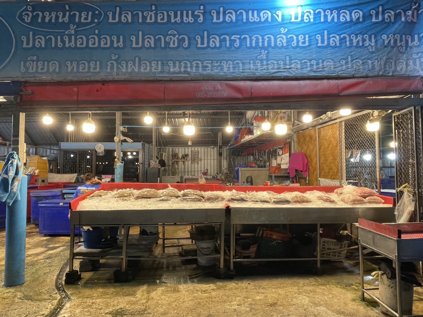 ความต้องการปลาน้ำจืดไทย พุ่ง 30-40% หลังสู้รบ/ด่านชายแดนไทย-กัมพูชา ปิด 21 S 176513236