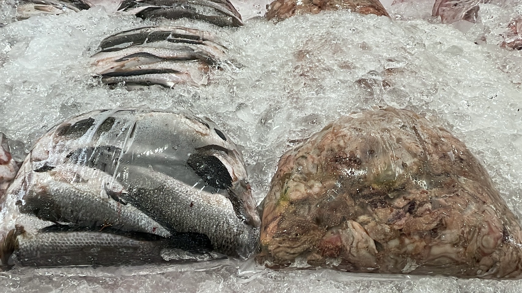 ความต้องการปลาน้ำจืดไทย พุ่ง 30-40% หลังสู้รบ/ด่านชายแดนไทย-กัมพูชา ปิด 23 S 176513238