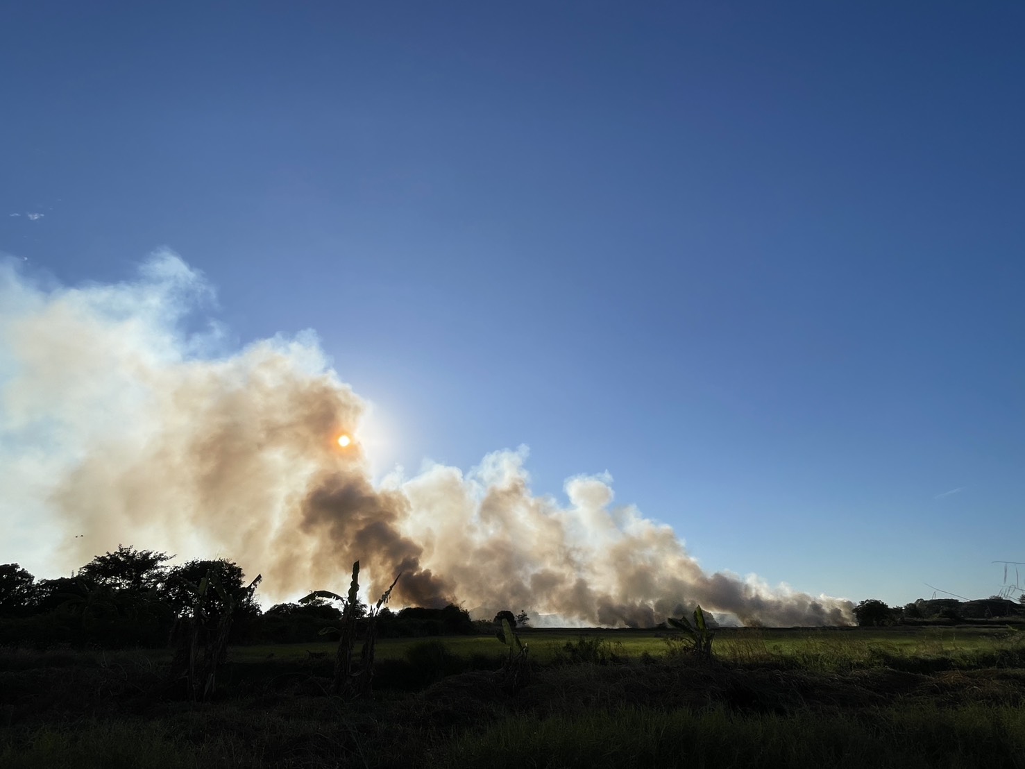 ผู้ว่า ฯ อ่างทอง สั่งการแจ้งความเอาผิดคนลักลอบเผาพื้นที่เกษตรย่านโพสะ 6 S 176816157