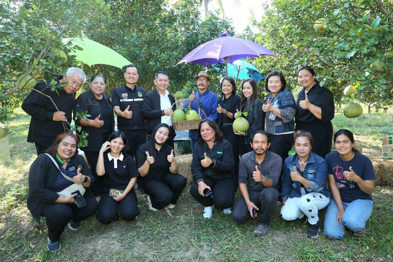 เกษตรนครสวรรค์ โชว์ของดีเมืองปากน้ำโพธิ์ ลุยงานส่งเสริมเกษตรกรต้นแบบ ศพก. ผลิตส้มโอแม่วงก์ พุทราน้ำอ้อยกางมุ้ง มุ่งสร้างรายได้ยั่งยืน 8 S 21127187