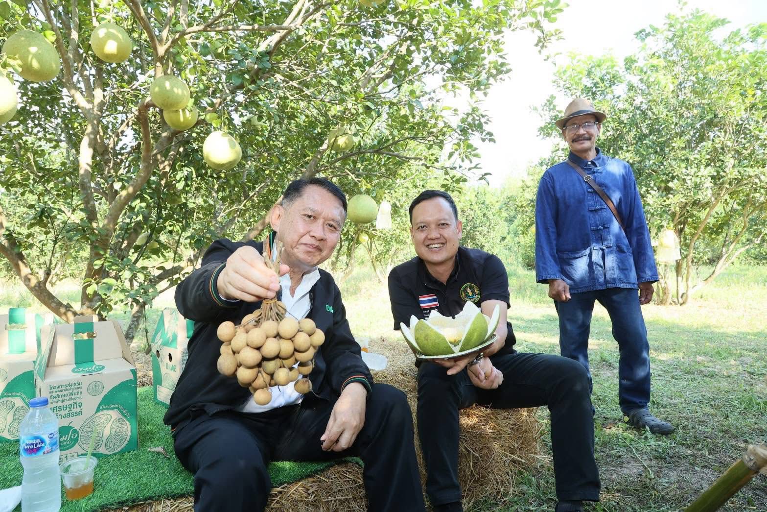 เกษตรนครสวรรค์ โชว์ของดีเมืองปากน้ำโพธิ์ ลุยงานส่งเสริมเกษตรกรต้นแบบ ศพก. ผลิตส้มโอแม่วงก์ พุทราน้ำอ้อยกางมุ้ง มุ่งสร้างรายได้ยั่งยืน 4 S 21127192