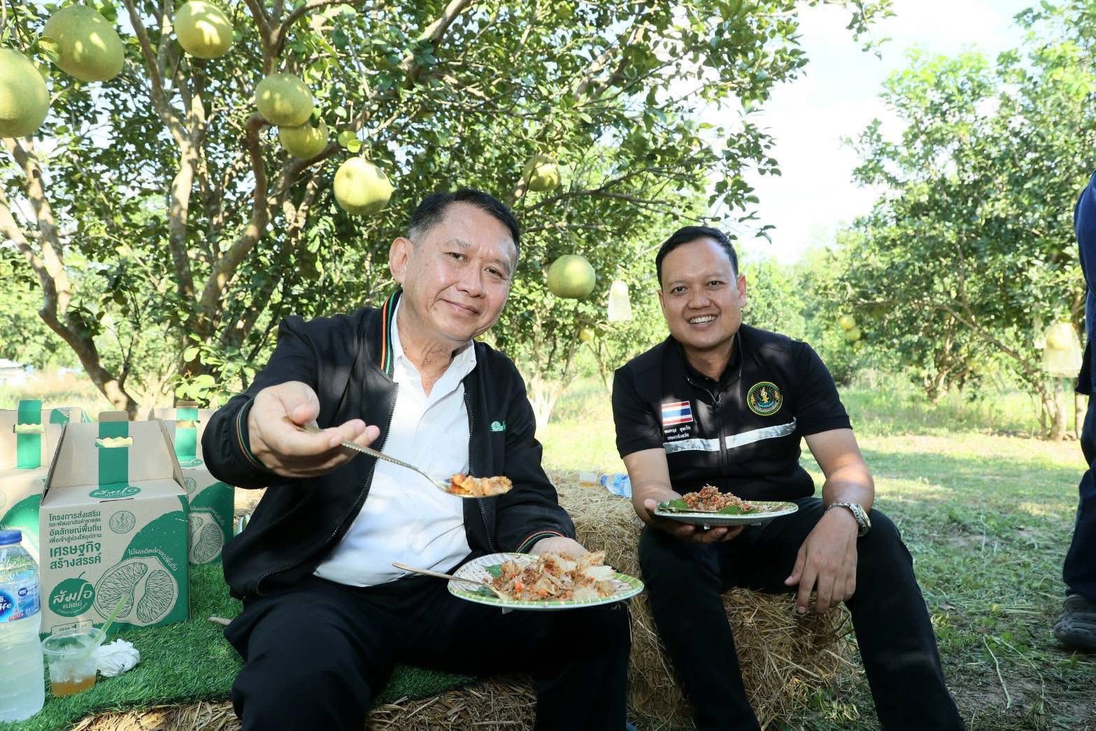 เกษตรนครสวรรค์ โชว์ของดีเมืองปากน้ำโพธิ์ ลุยงานส่งเสริมเกษตรกรต้นแบบ ศพก. ผลิตส้มโอแม่วงก์ พุทราน้ำอ้อยกางมุ้ง มุ่งสร้างรายได้ยั่งยืน 3 S 21127193