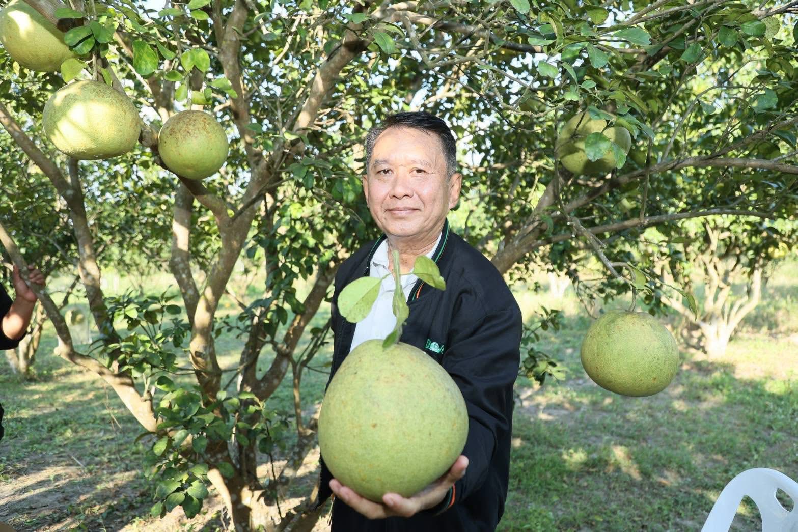 เกษตรนครสวรรค์ โชว์ของดีเมืองปากน้ำโพธิ์ ลุยงานส่งเสริมเกษตรกรต้นแบบ ศพก. ผลิตส้มโอแม่วงก์ พุทราน้ำอ้อยกางมุ้ง มุ่งสร้างรายได้ยั่งยืน 2 S 21127198