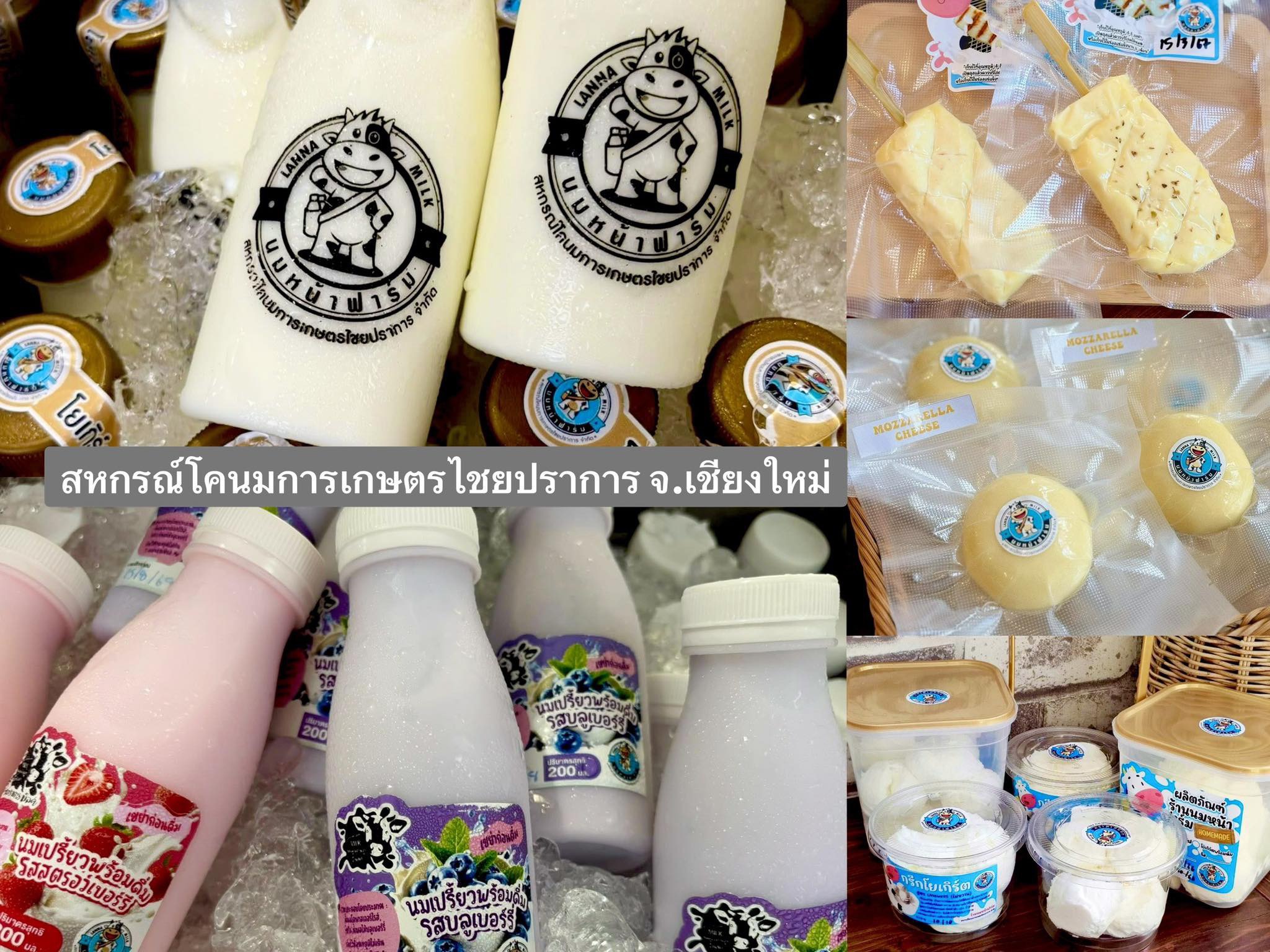 ศผส. ปทุมธานี จัดพิธีเปิดการอบรม หลักสูตรการขึ้นทะเบียนสิ่งบ่งชี้ทางภูมิศาสตร์ GI และการพัฒนาศักยภาพด้านการตลาดสินค้าอัตลักษณ์พื้นถิ่น ประจำปีงบประมาณ 2569 9 S 21430290