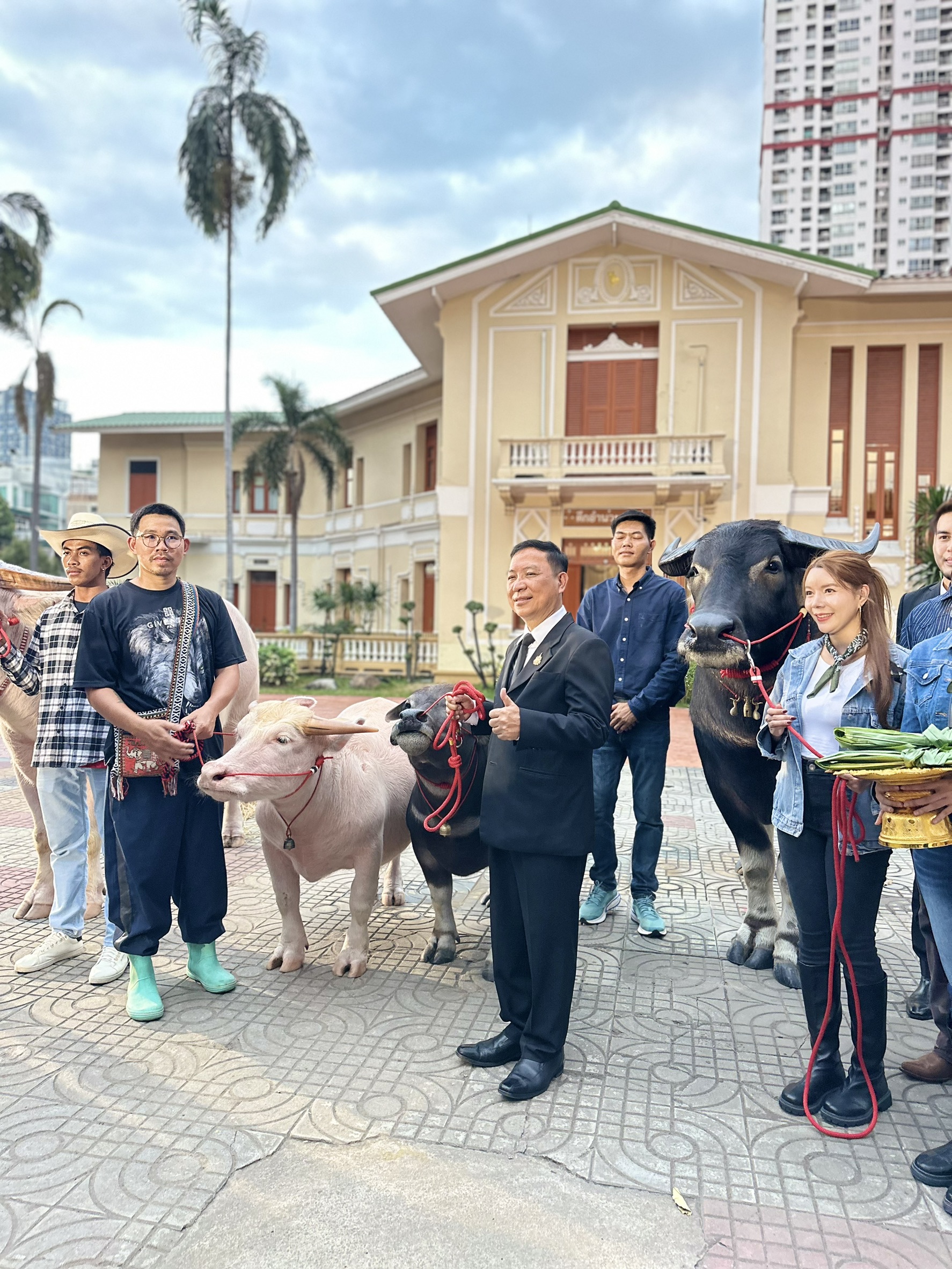 กรมปศุสัตว์จัดแถลงข่าวงานวันอนุรักษ์และพัฒนากระบือปลักไทย ประจำปี 2569 เพื่ออนุรักษ์ สืบสาน รักษา ต่อยอด กระบือปลักไทย ภายใต้หลัก S 21536808